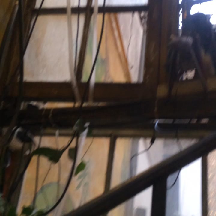 La Diana - El lugar es una maravilla! - Brasseries Near Me - Santiago, RM