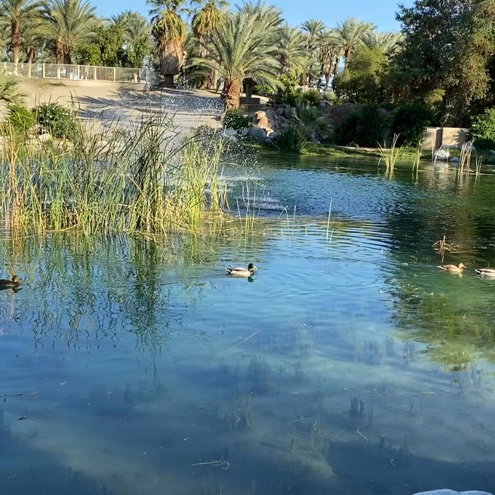 Video thumbnail 6 more videos