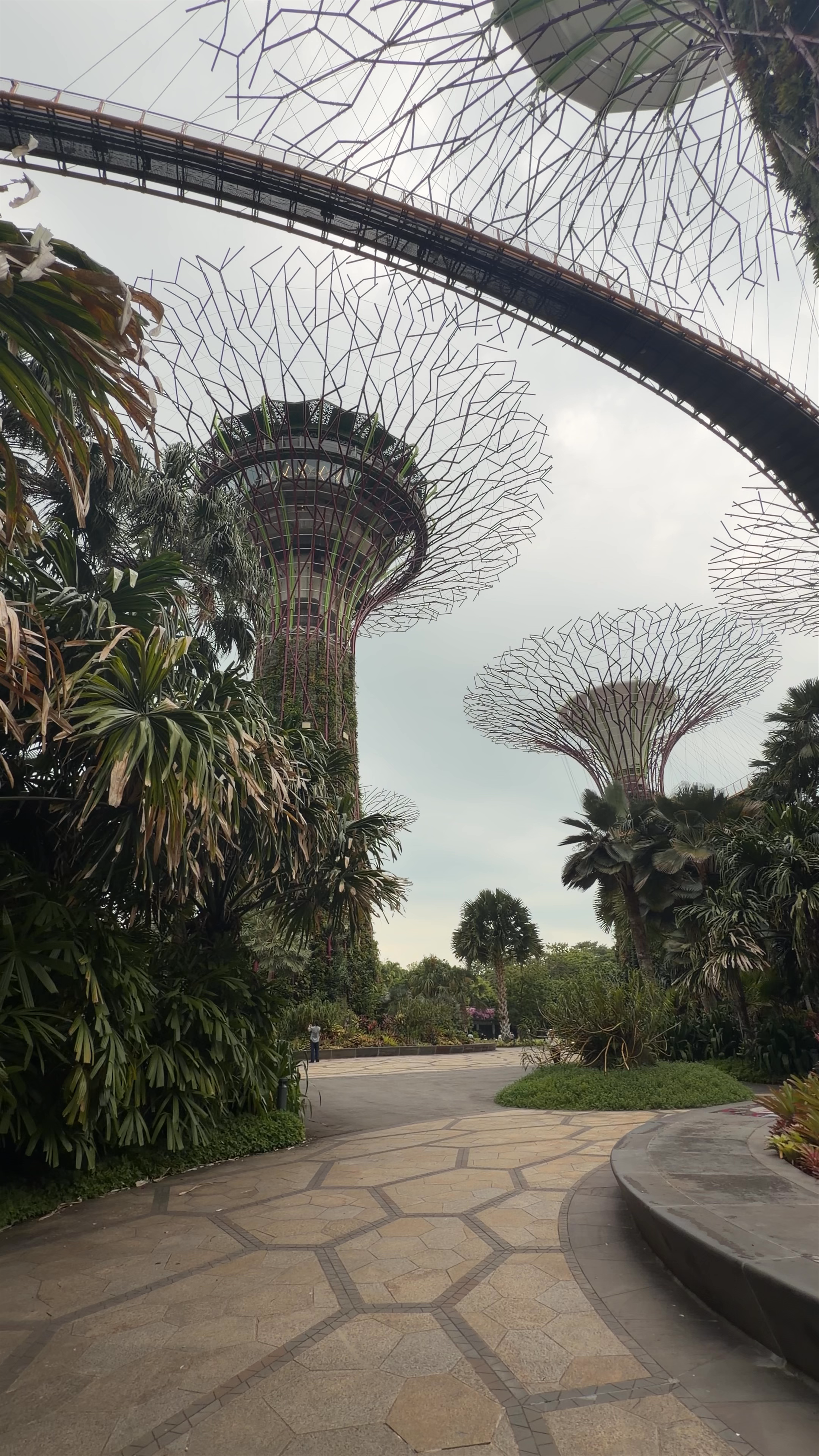 Marina Gardens Drive