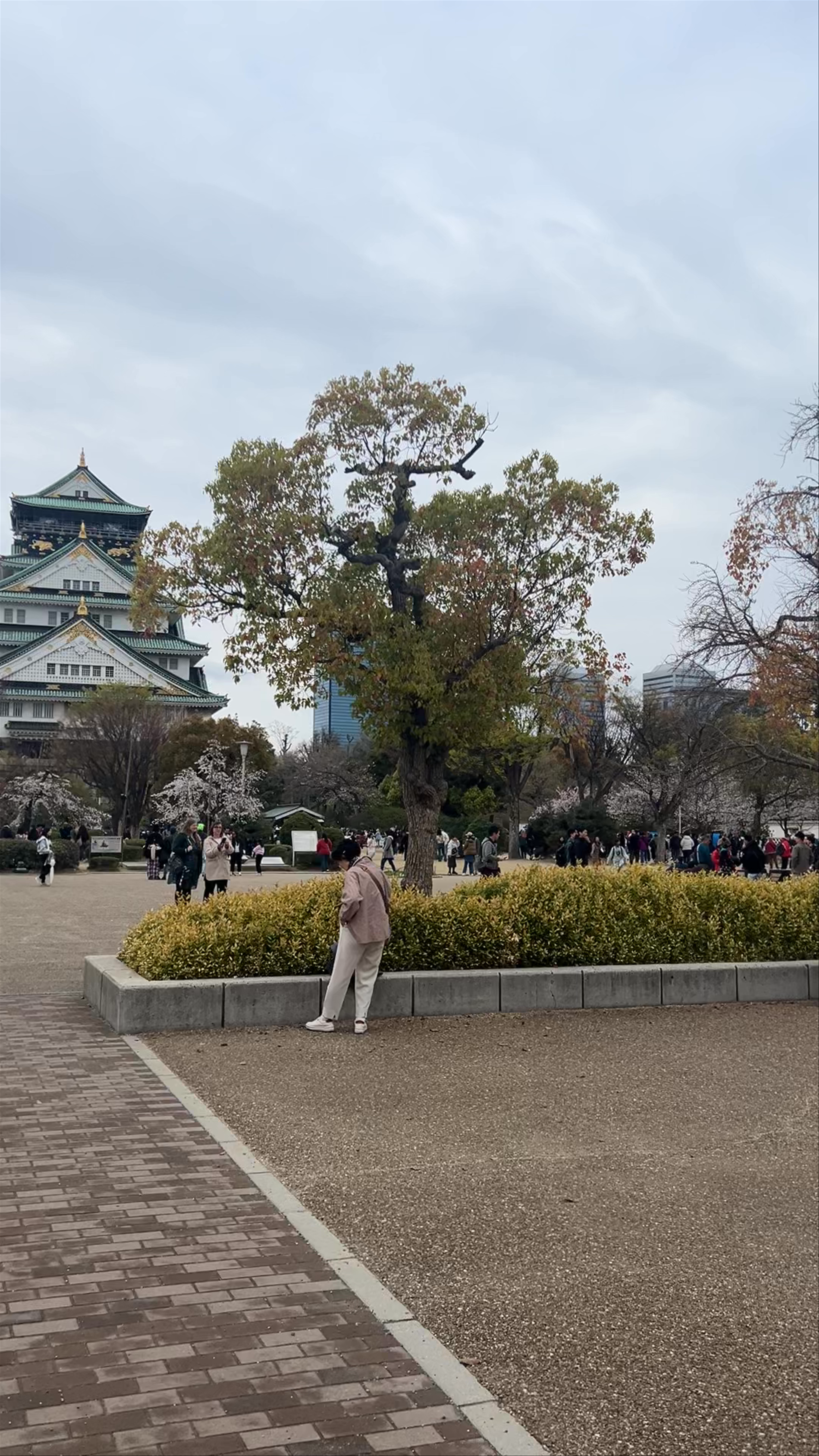 Osaka Castle