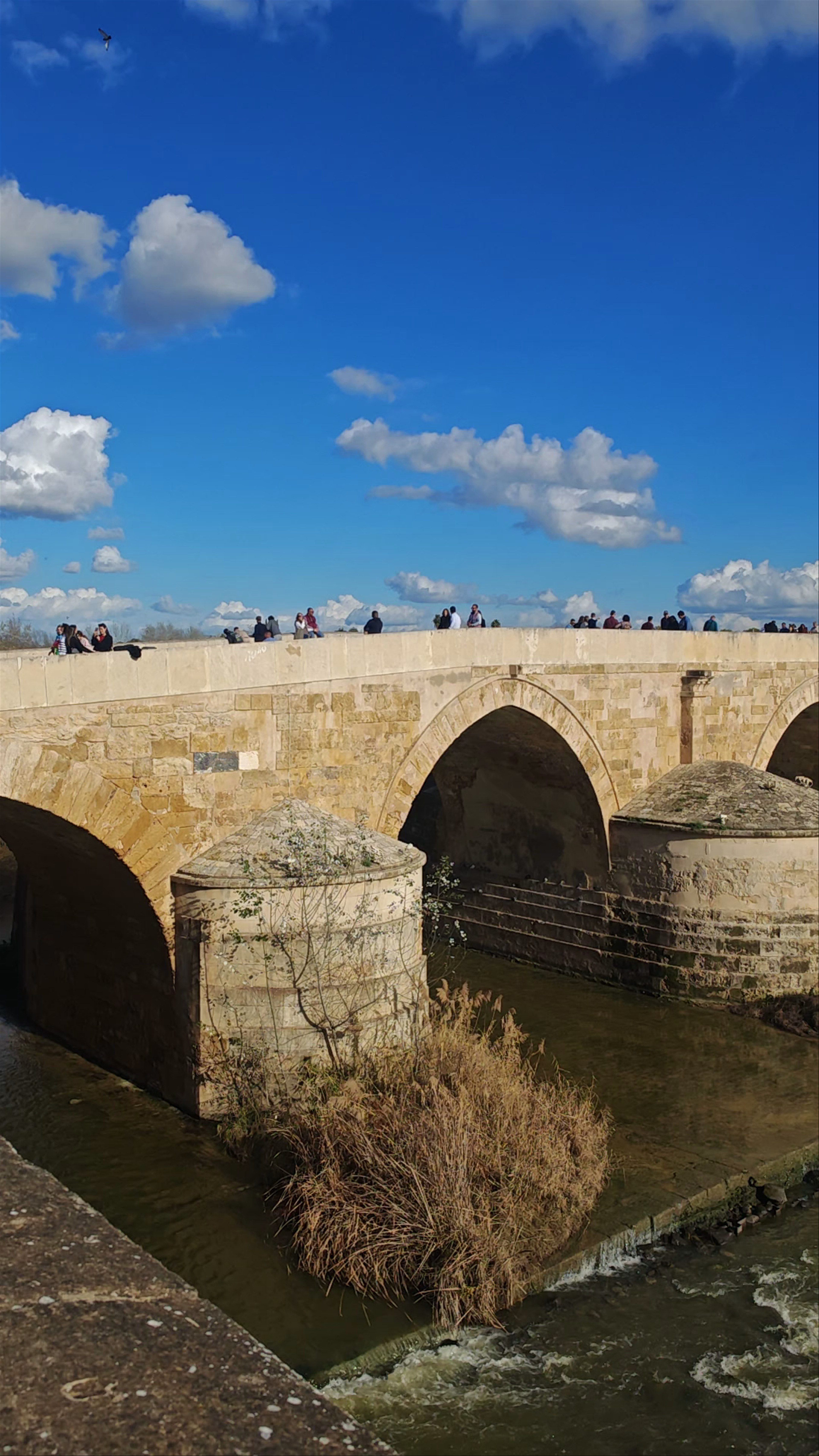 Puente Romano de Córdoba