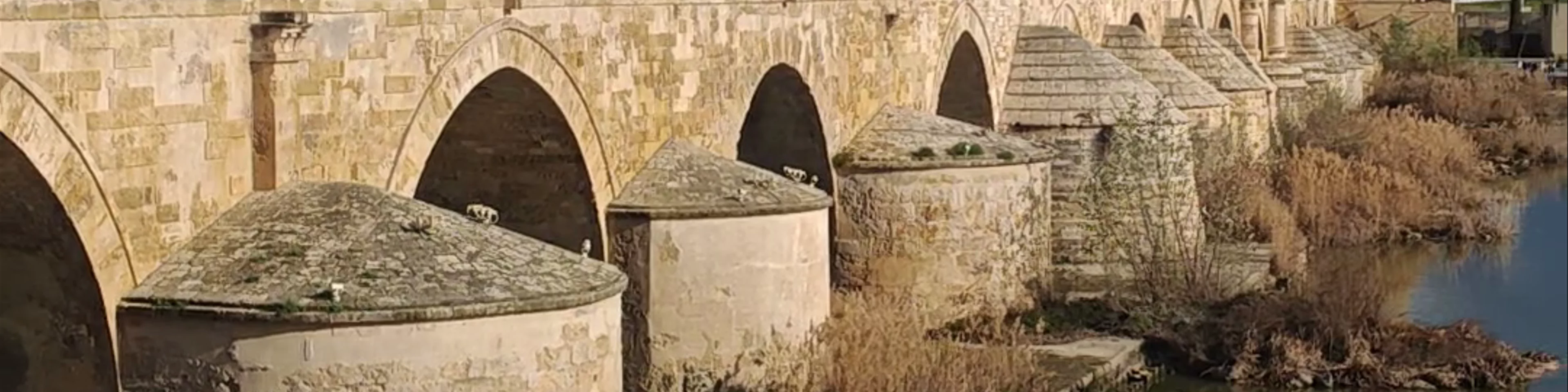Puente Romano de Córdoba