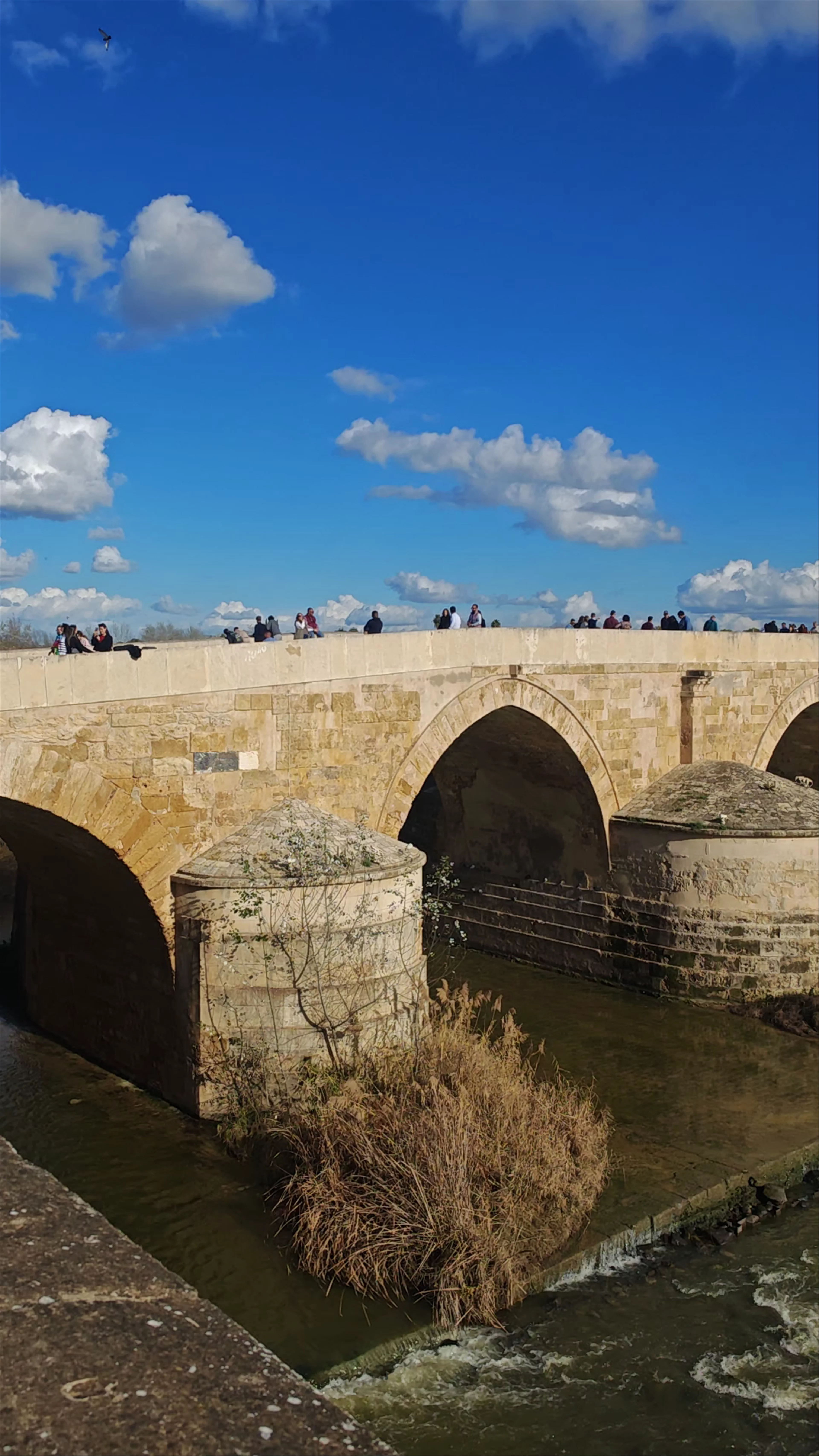 Puente Romano de Córdoba