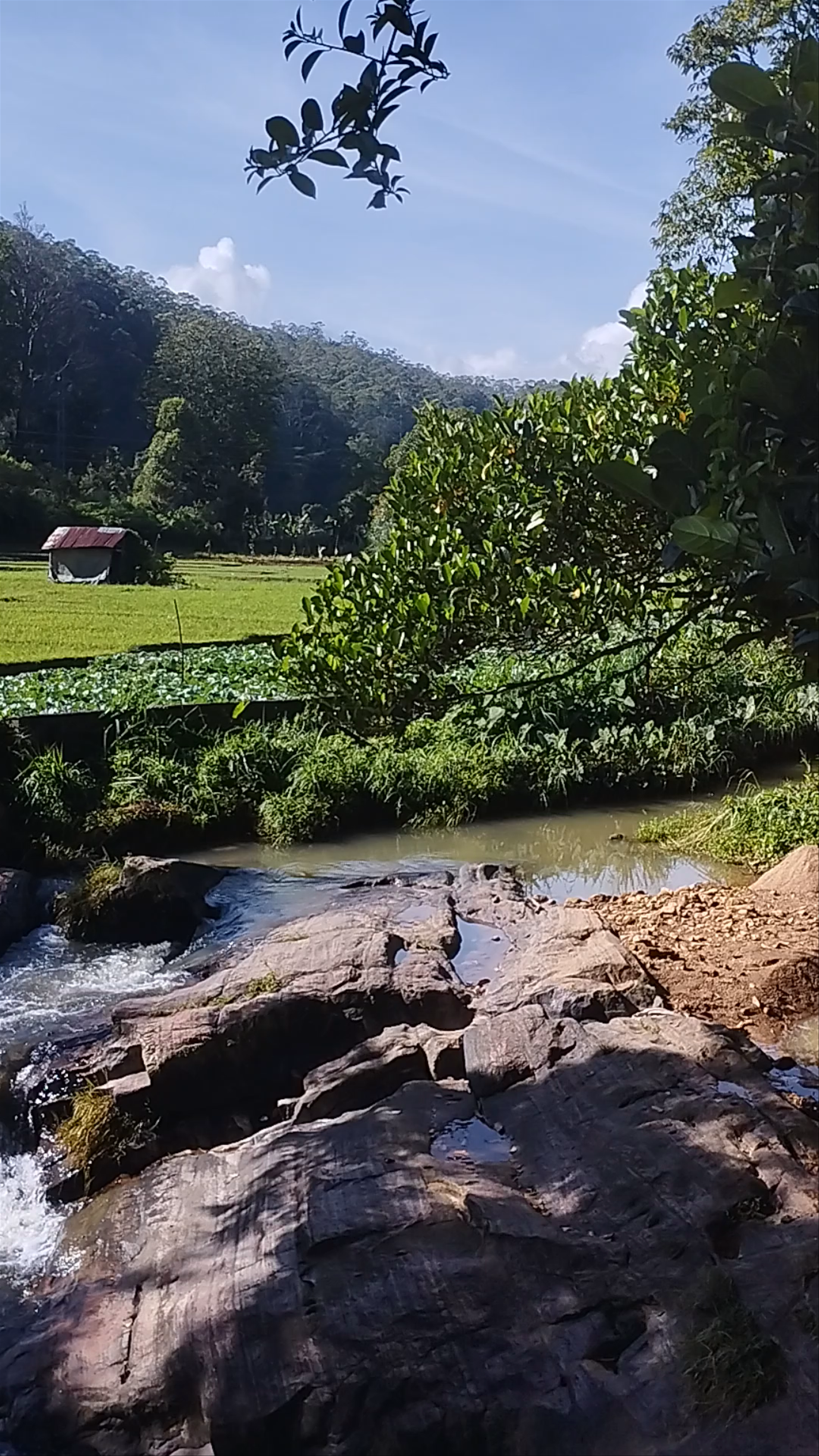 Ella rock trail shop