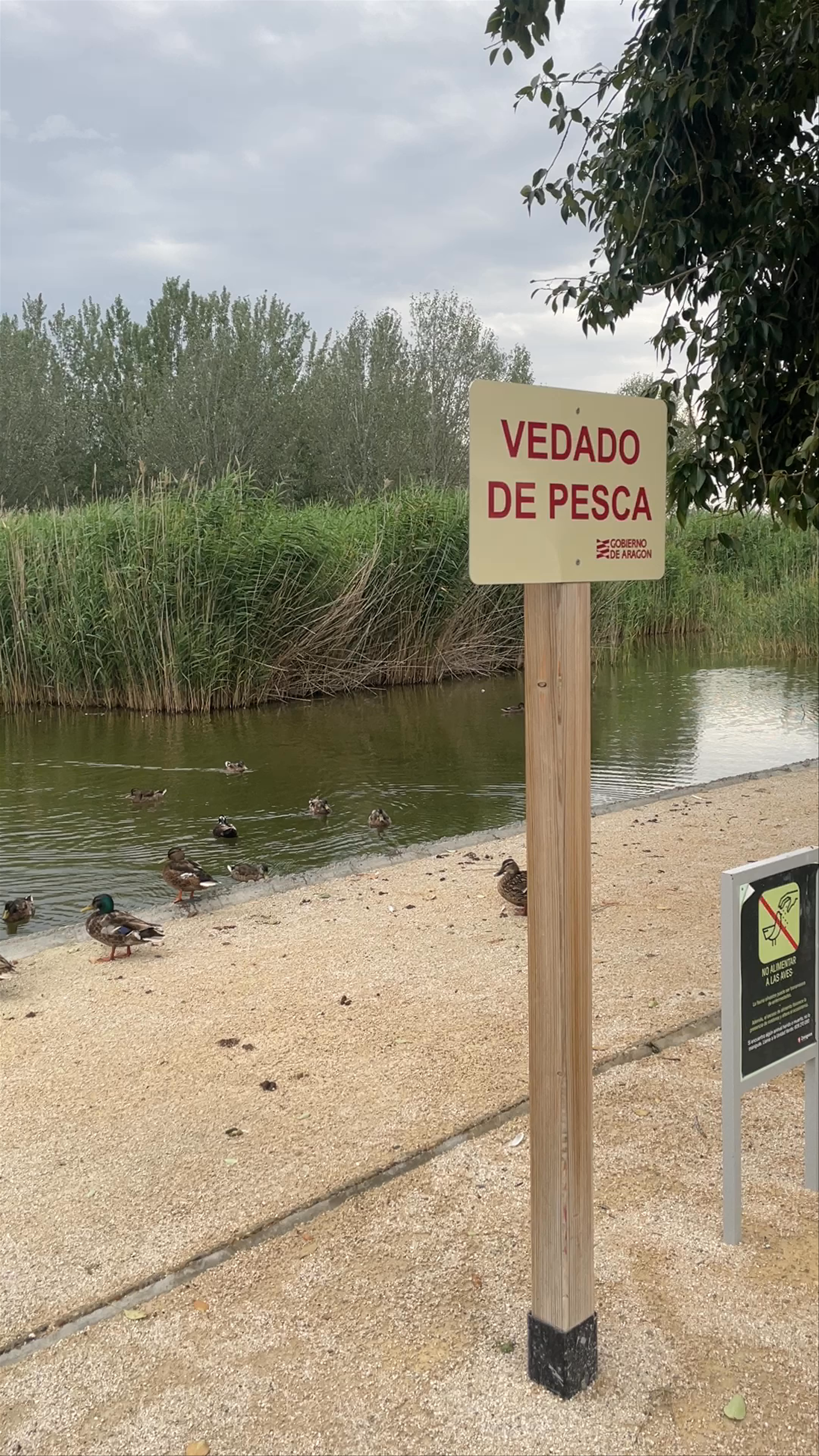 Área Infantil del Parque del Agua