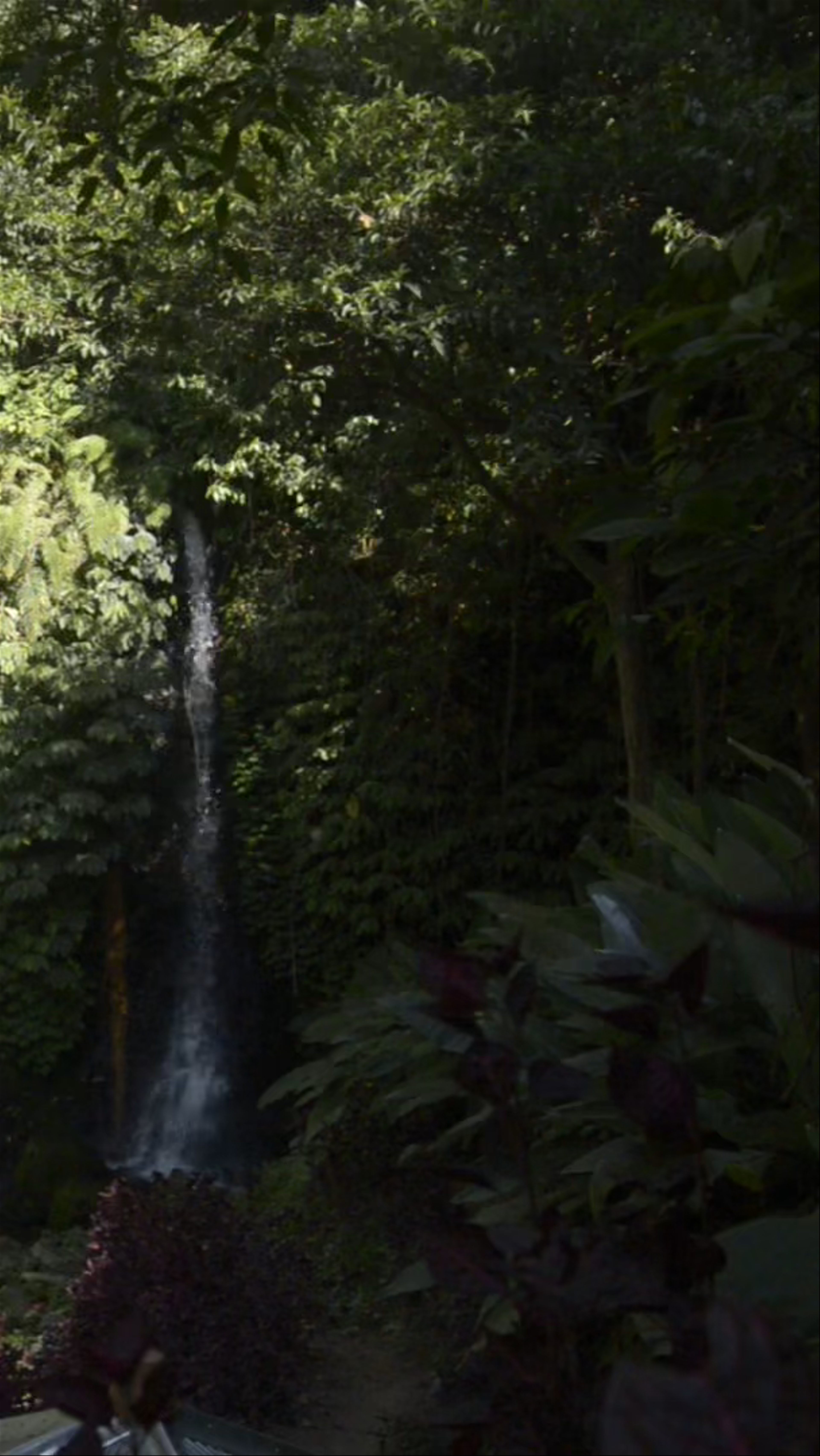 Banyu Wana Amertha Waterfall: Hidden Jungle Gem in Wanagiri, Bali