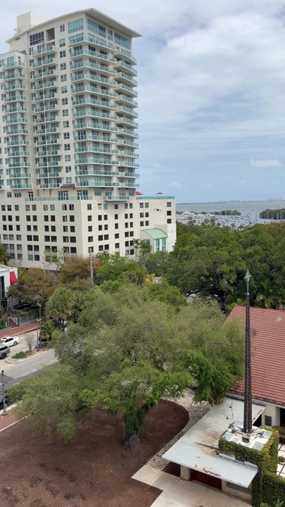 Bellini - Italian Near Me - Miami, Florida