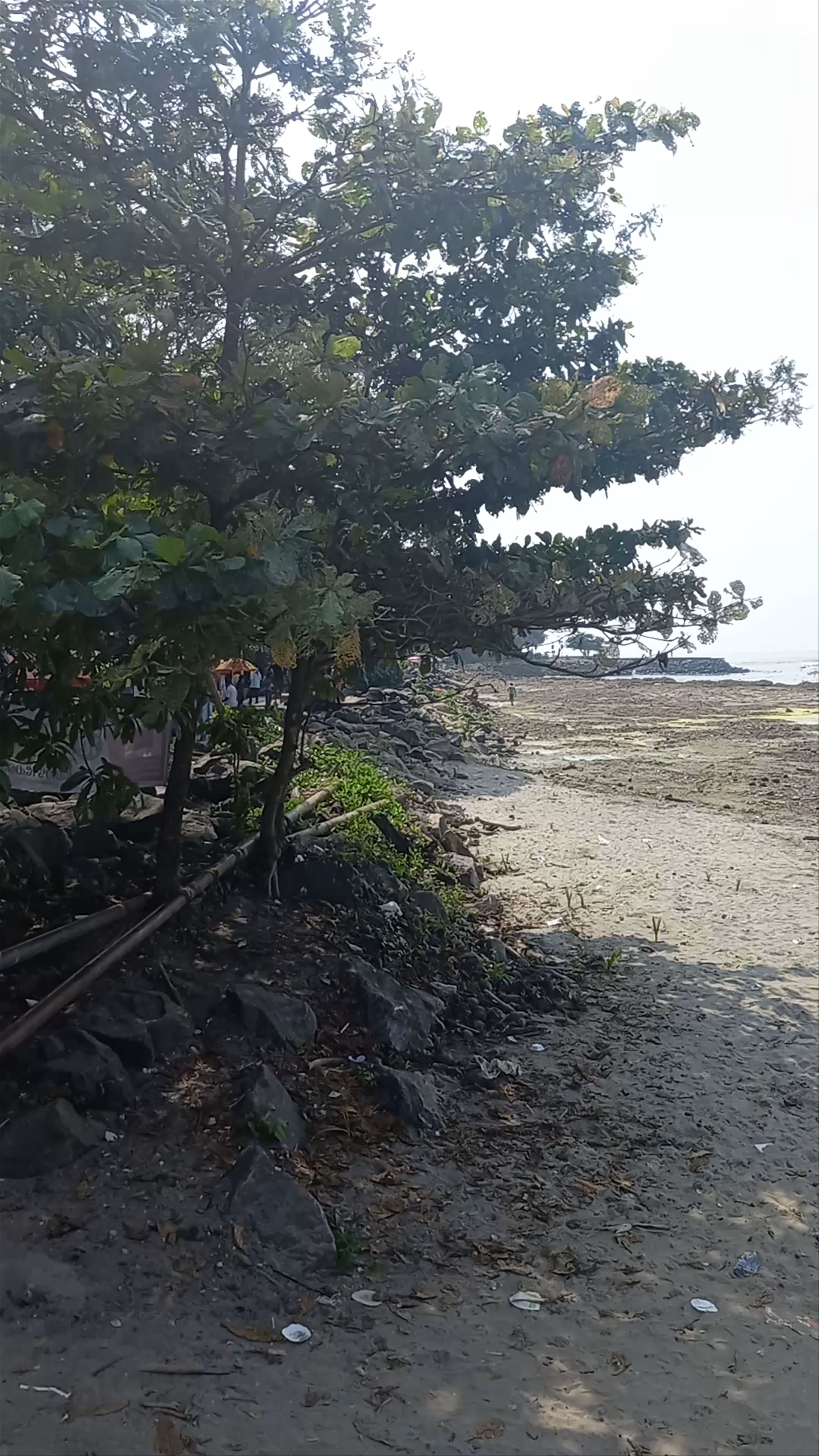 Mahatma Gandhi Beach