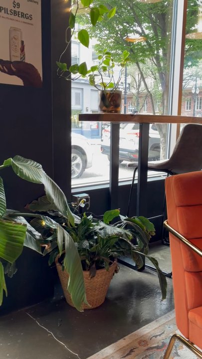 TREEBEERD’S TAPHOUSE - Updated May 2026 - 113 Photos & 57 Reviews - 822 ...