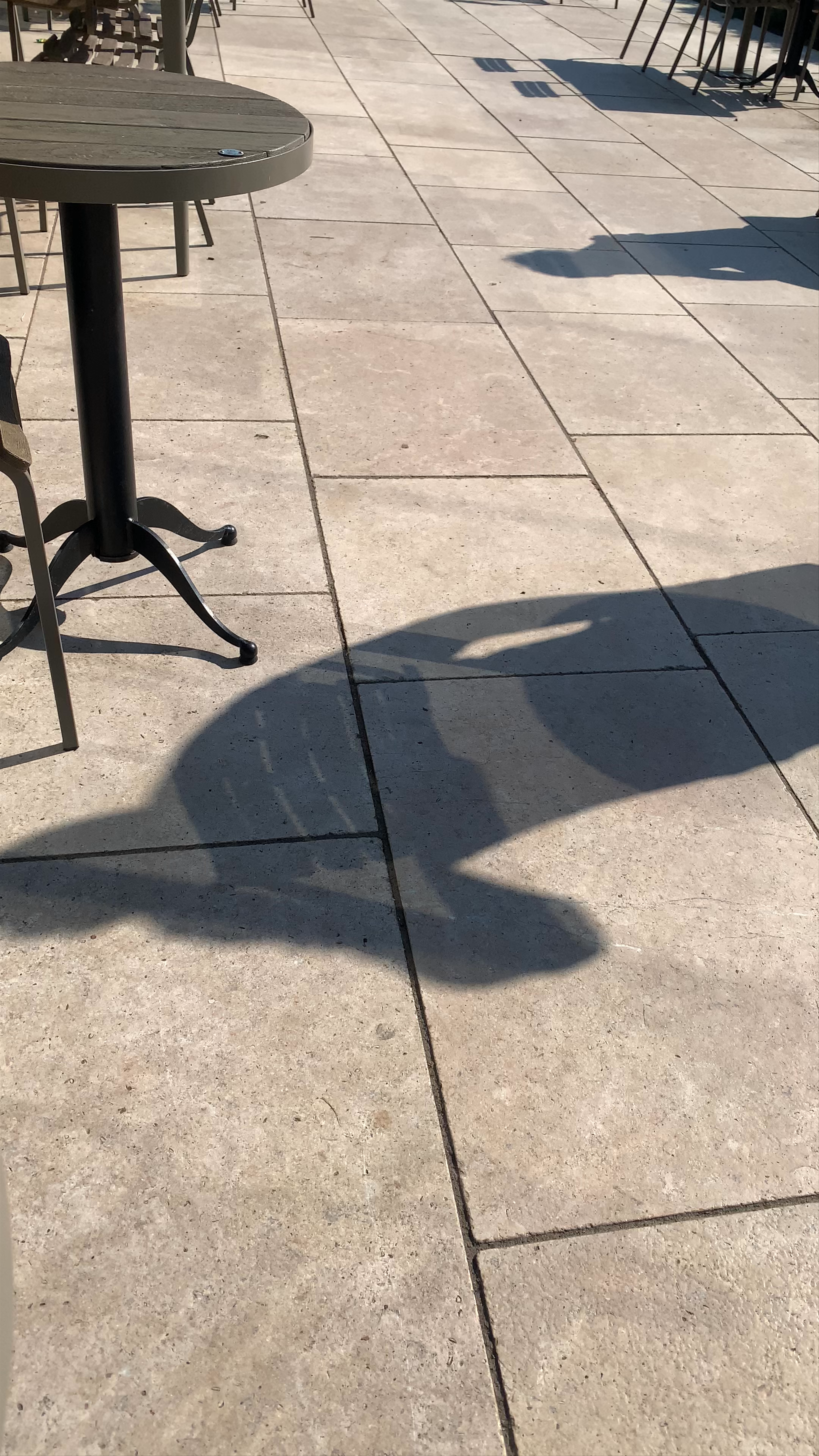 Caffe Windsor Kelly Street West