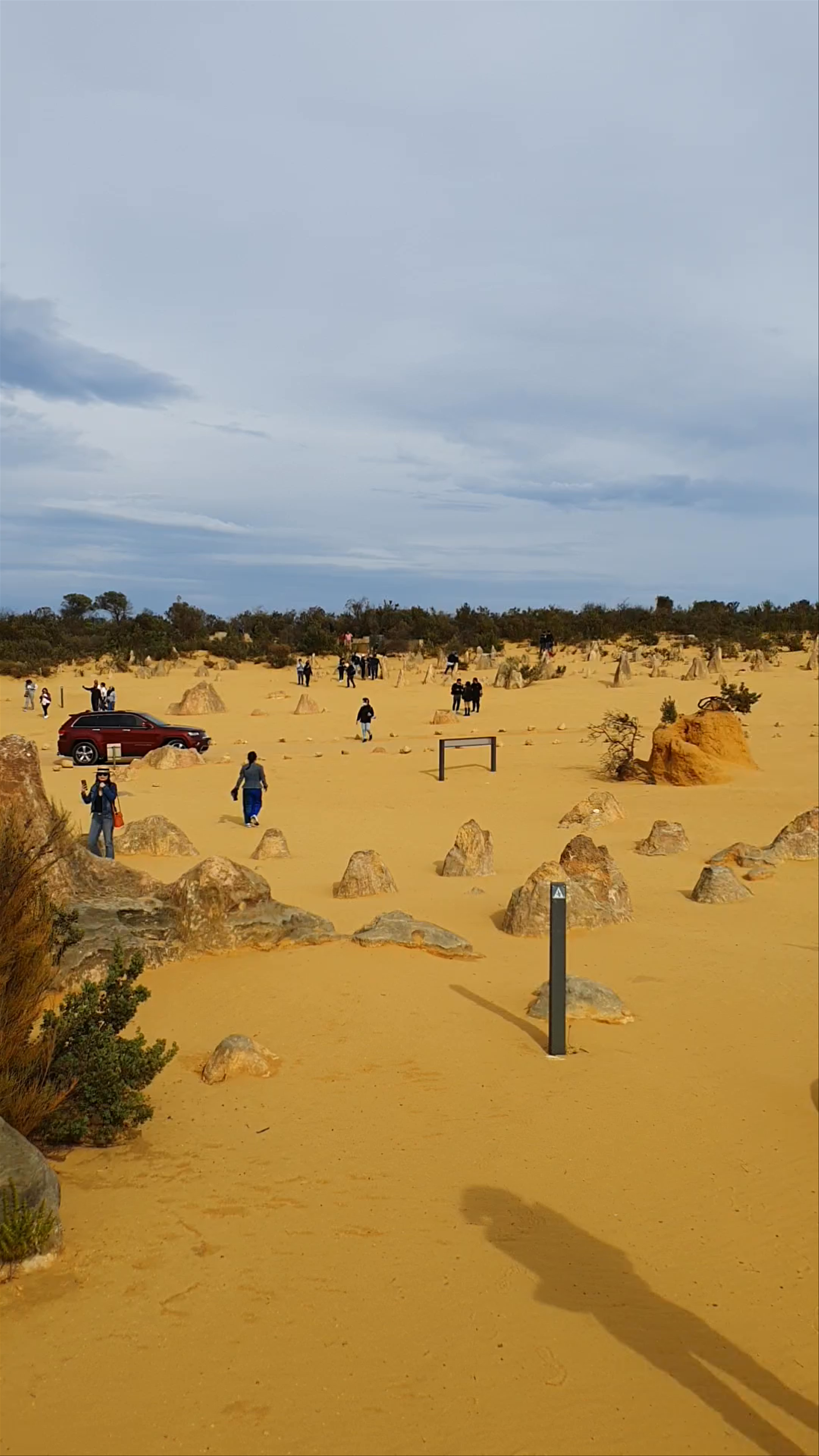 Pinnacles Desert Discovery Centre