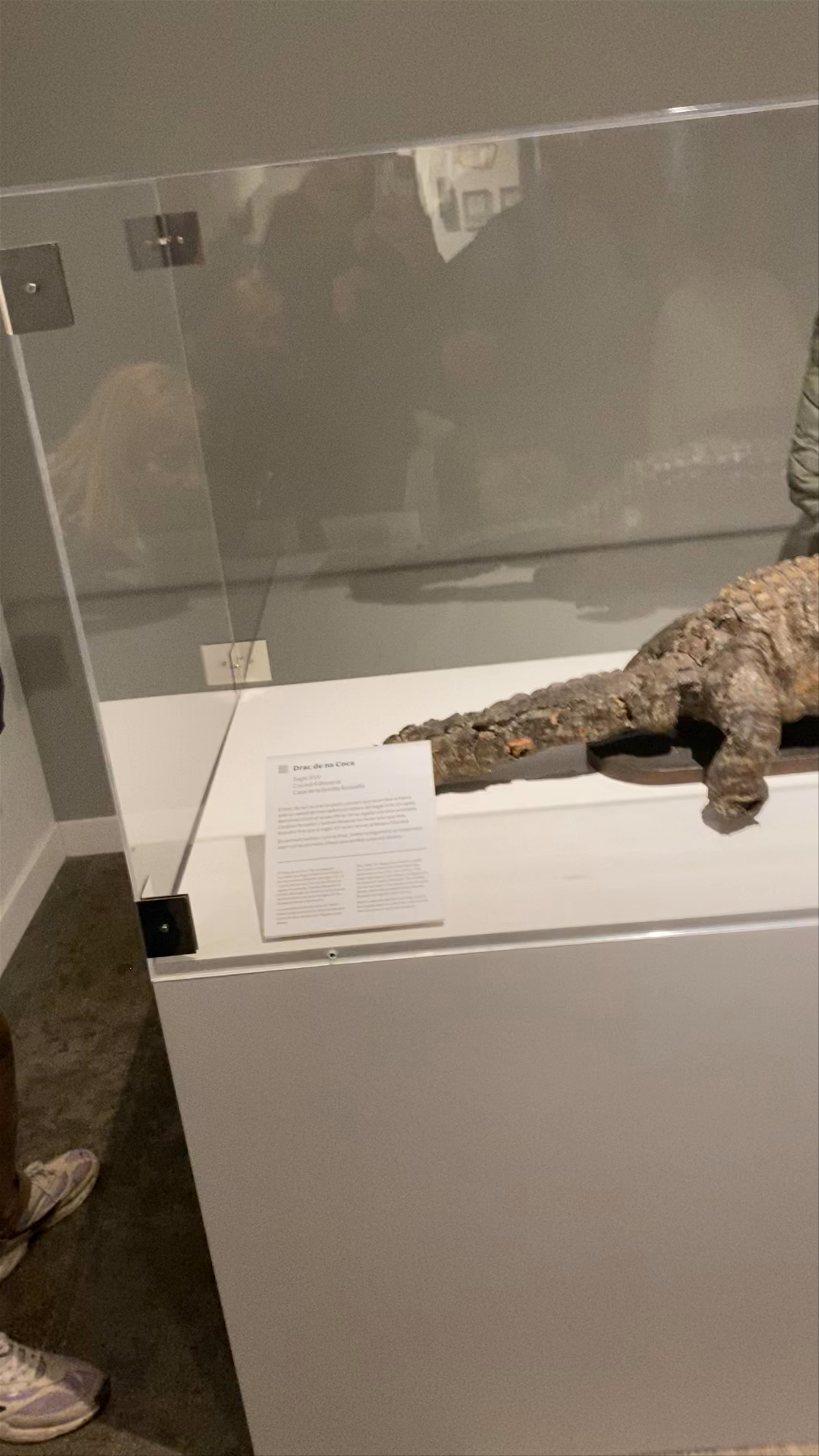 Drac de na Coca: Mysterious Mythical Creature in Palma