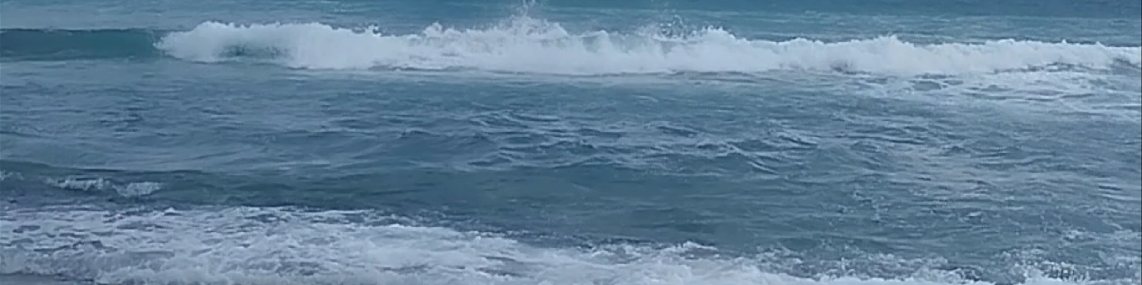 Dalawella Beach