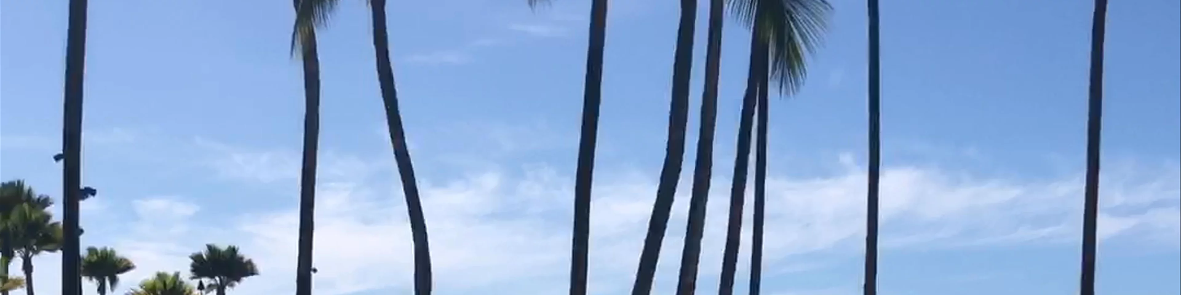 Hilton Waikoloa Village