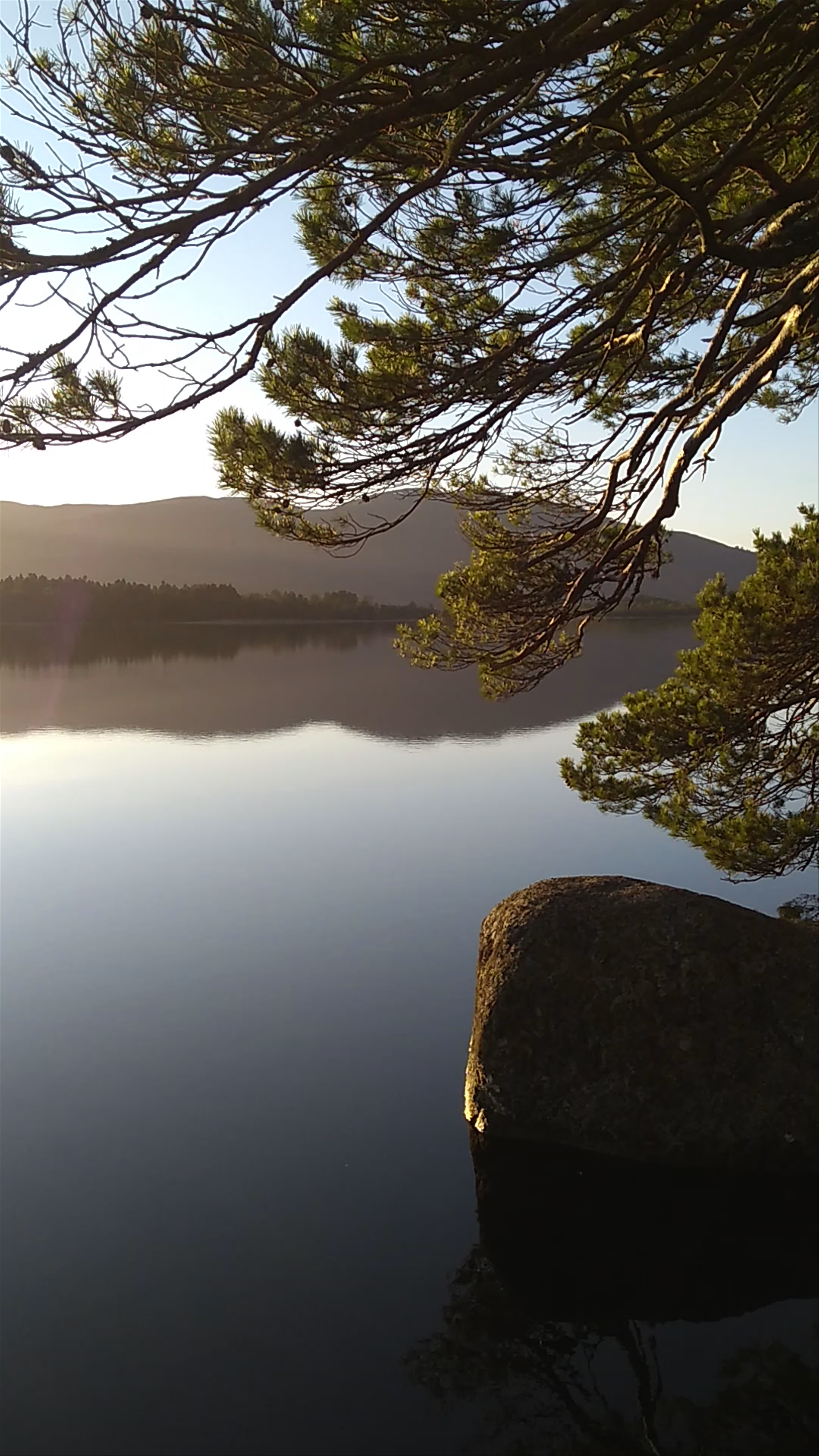 Loch Garten