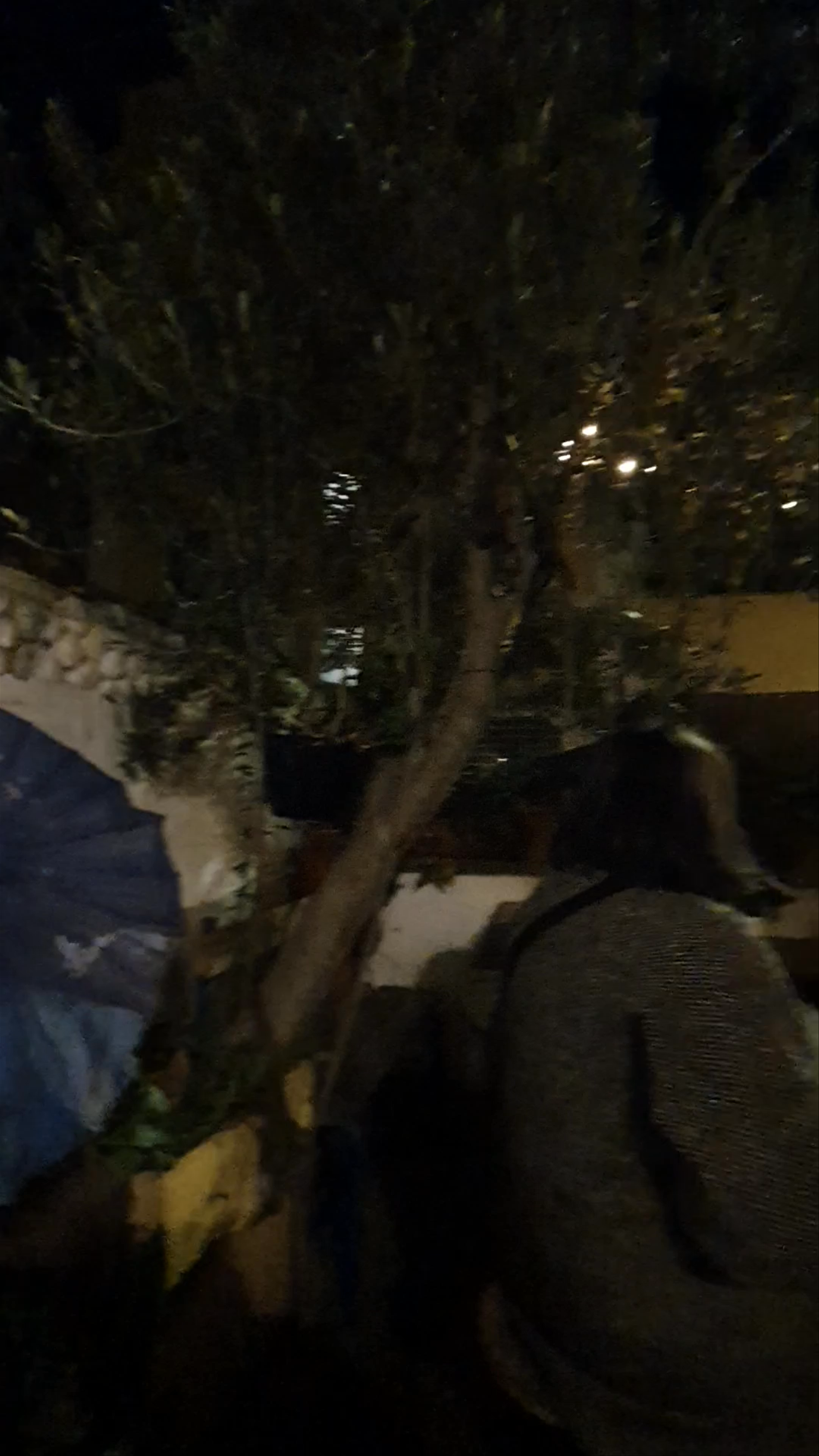Nighttime Social Vibes at Santa Libbirata in Rome