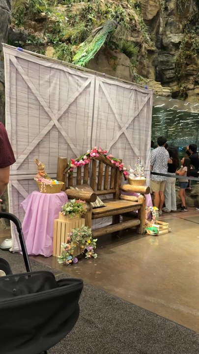 Bass Pro Shops - Backdrop for Easter photo event - Accessories Near Me - Irvine, California