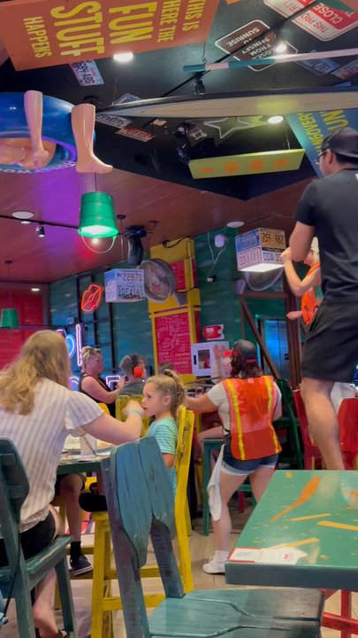 Senor Frog's - Mexican Near Me - Hollywood, Florida