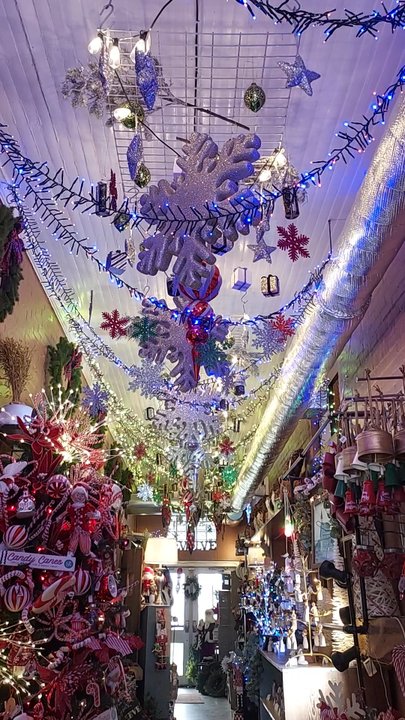 Evolve For The Home - Holiday Decorations Near Me - Lyons, New York