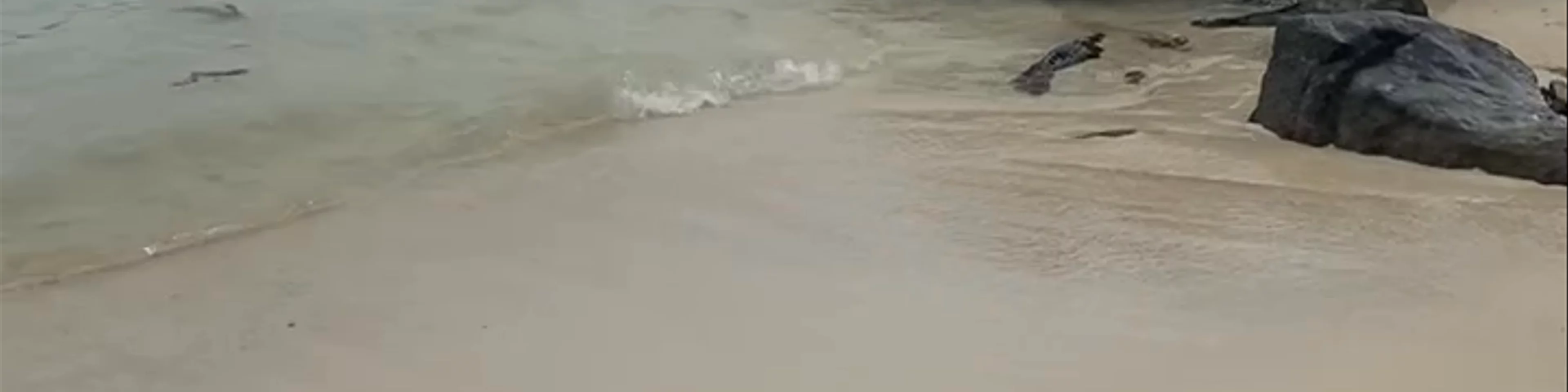 Fairyland Beach