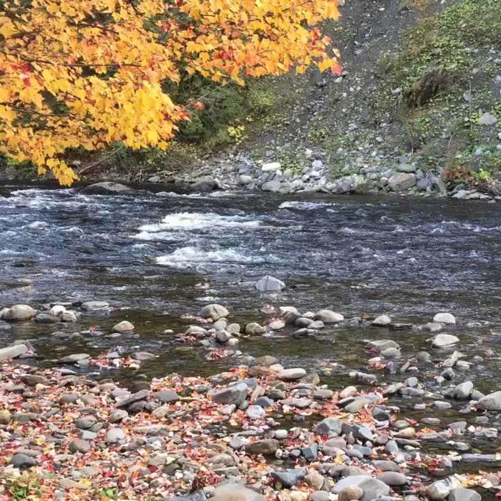 Moose River Campground - Sound of the creek - Campgrounds Near Me - Saint Johnsbury, Vermont
