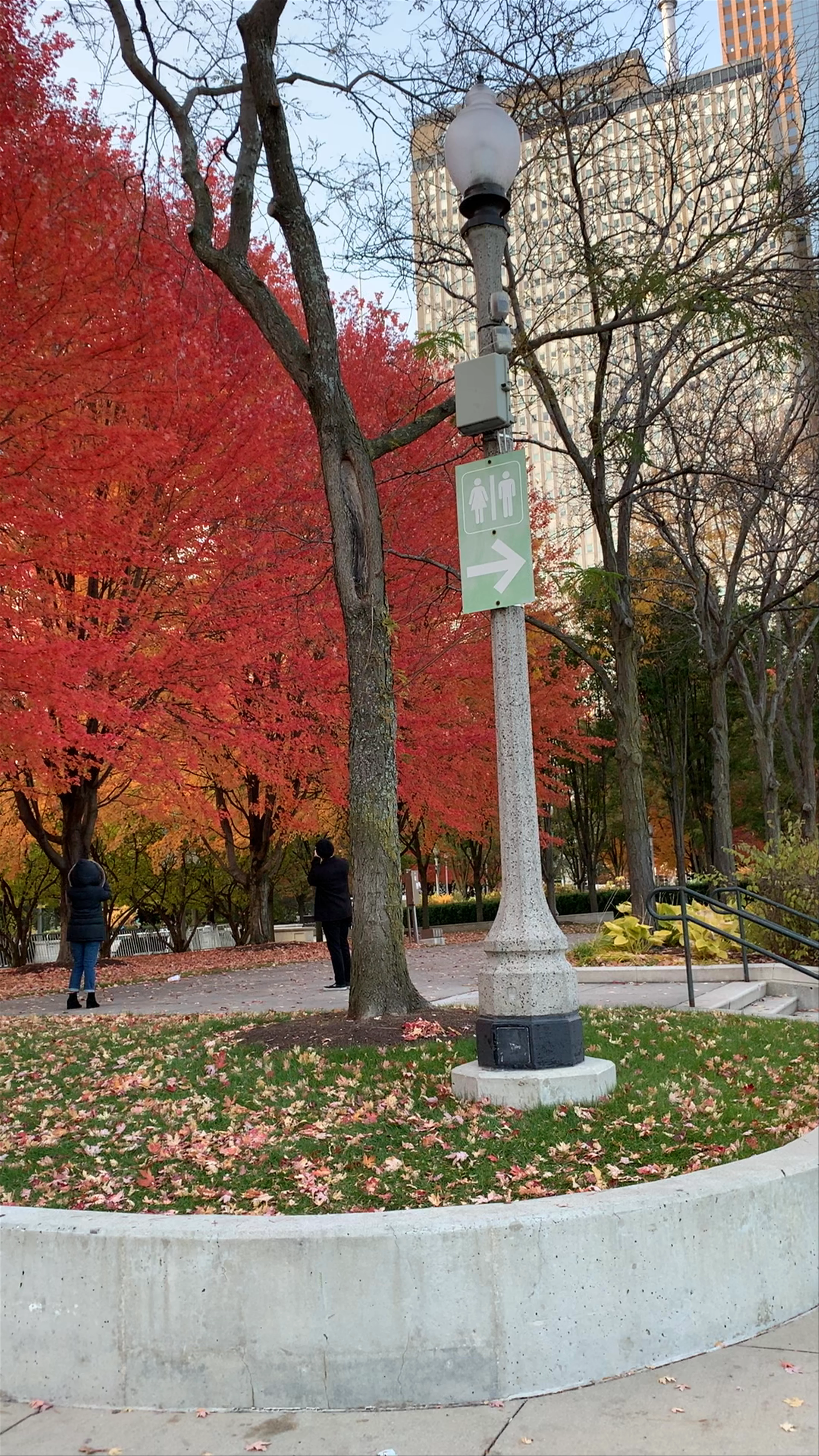 Millennium Park, Chicago, IL, USA