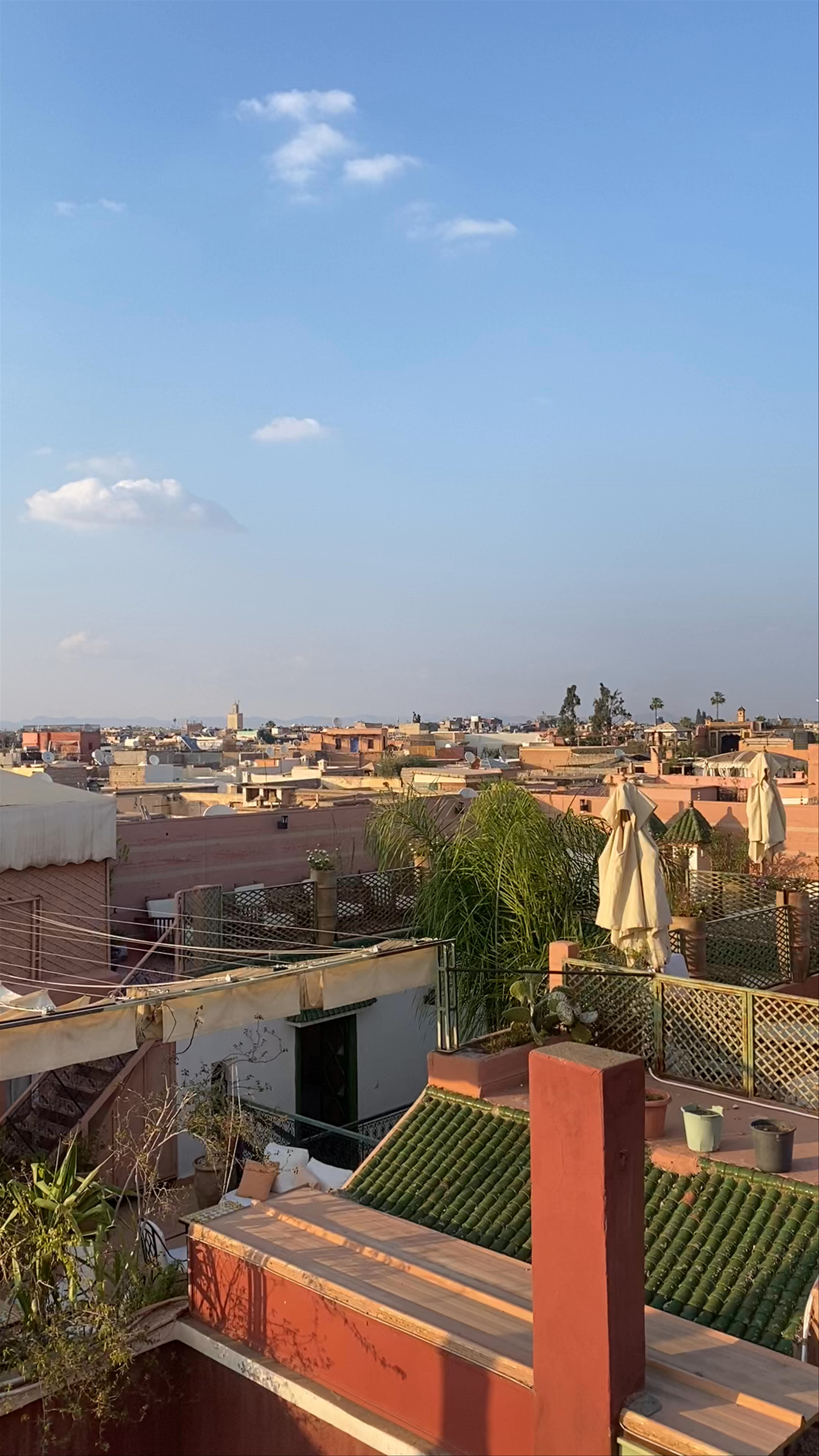 Un Déjeuner à Marrakech: A Panoramic Taste of Medina Life