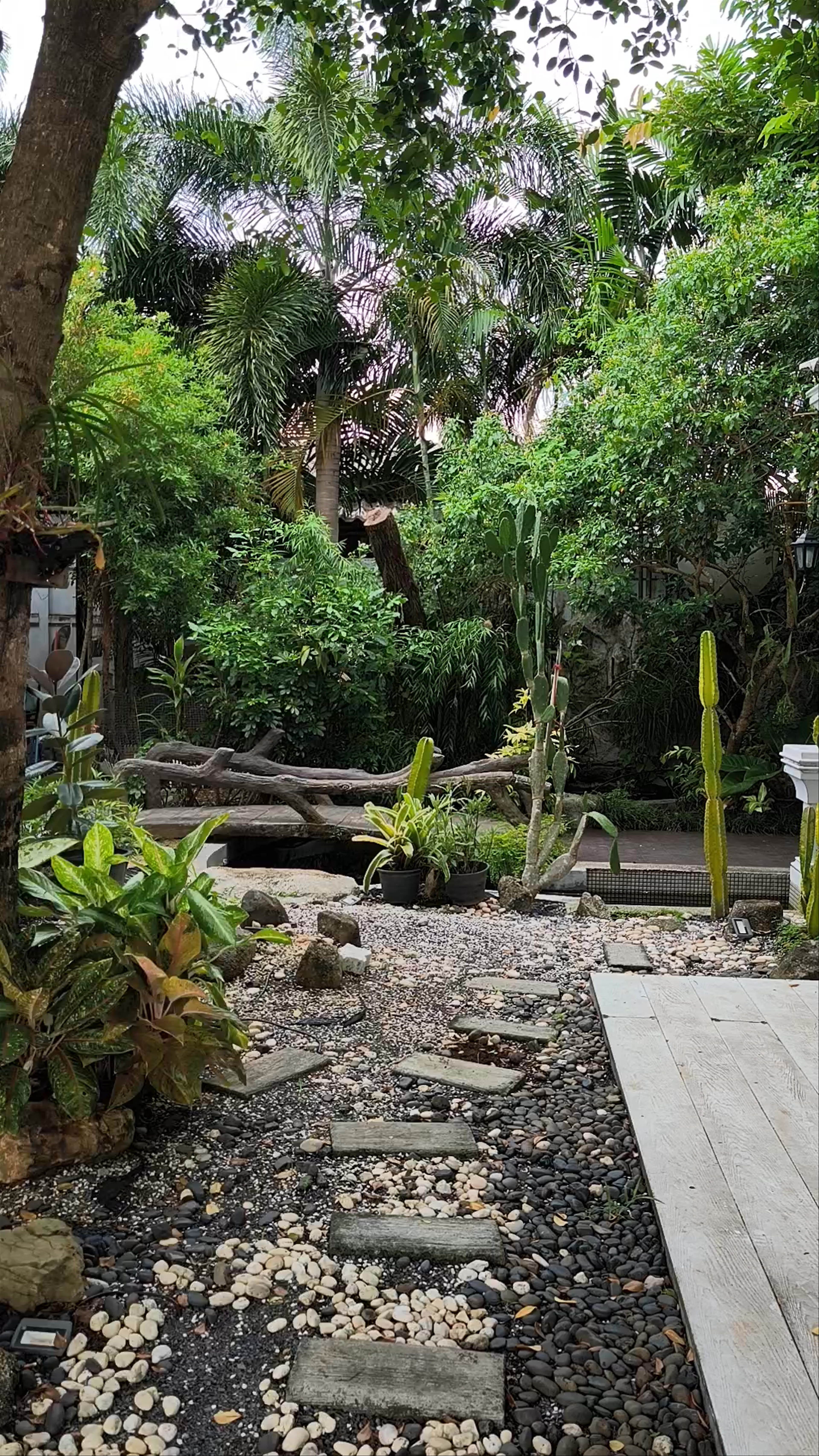 Inthanin Cafe: A Serene Tropical Escape in Phuket