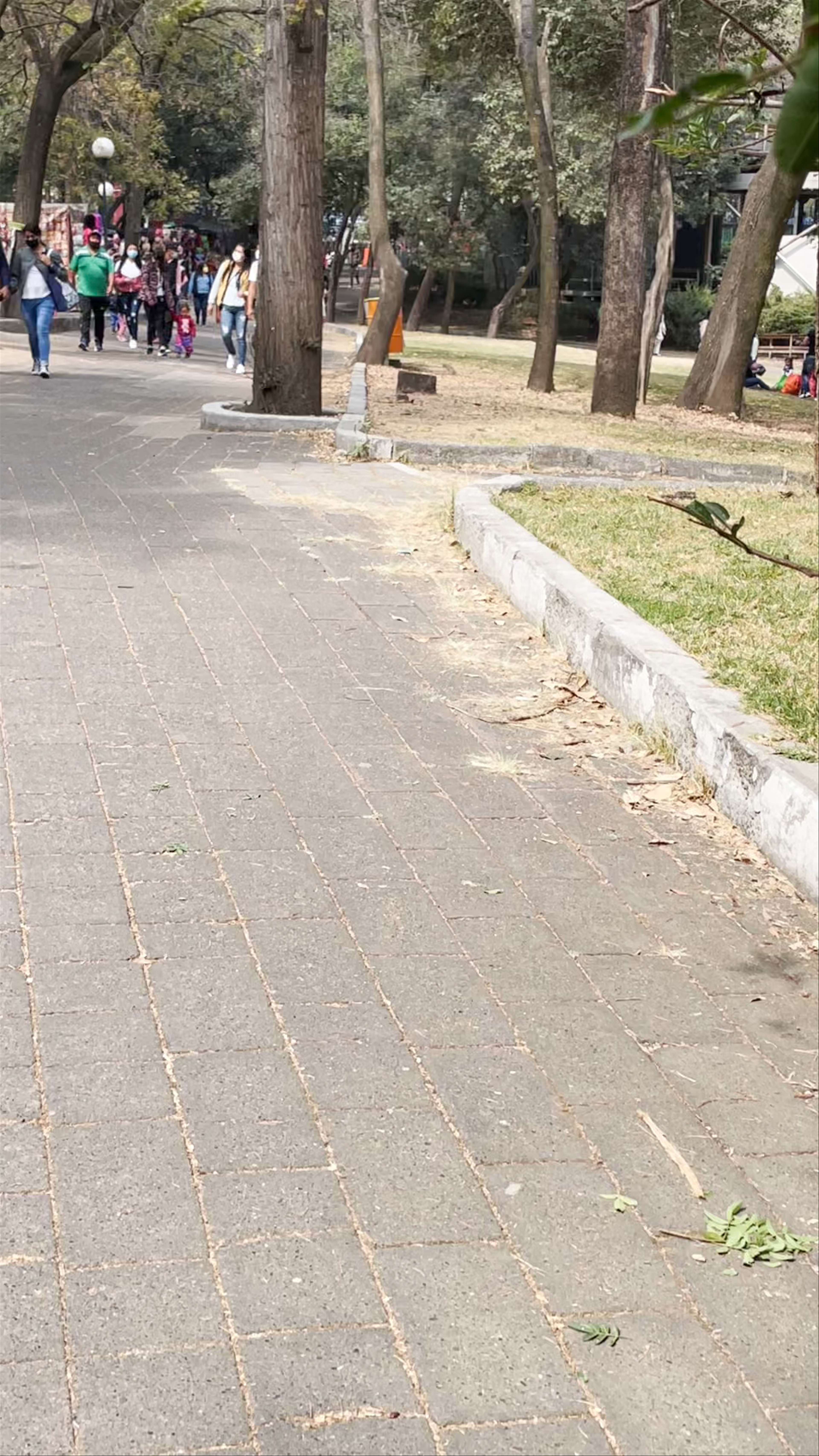 Bosque de Chapultepec