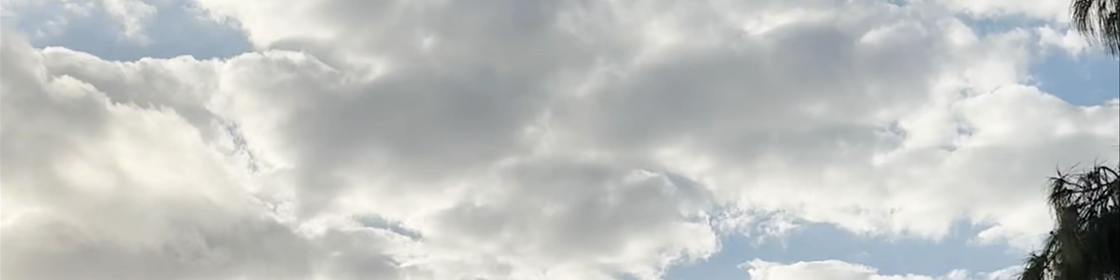 Praia de Boa Viagem - Boa Viagem
