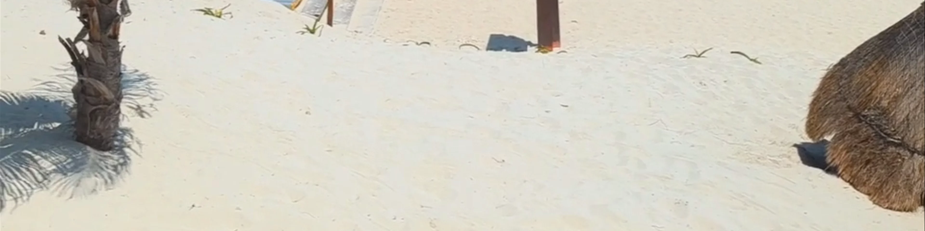 Playa Delfines