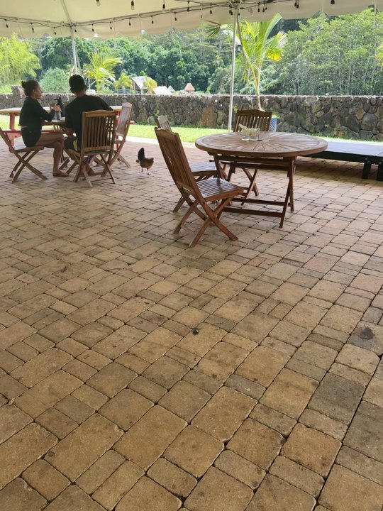 Ally's Cocina - Seating area - Venezuelan Near Me - Kilauea, Hawaii