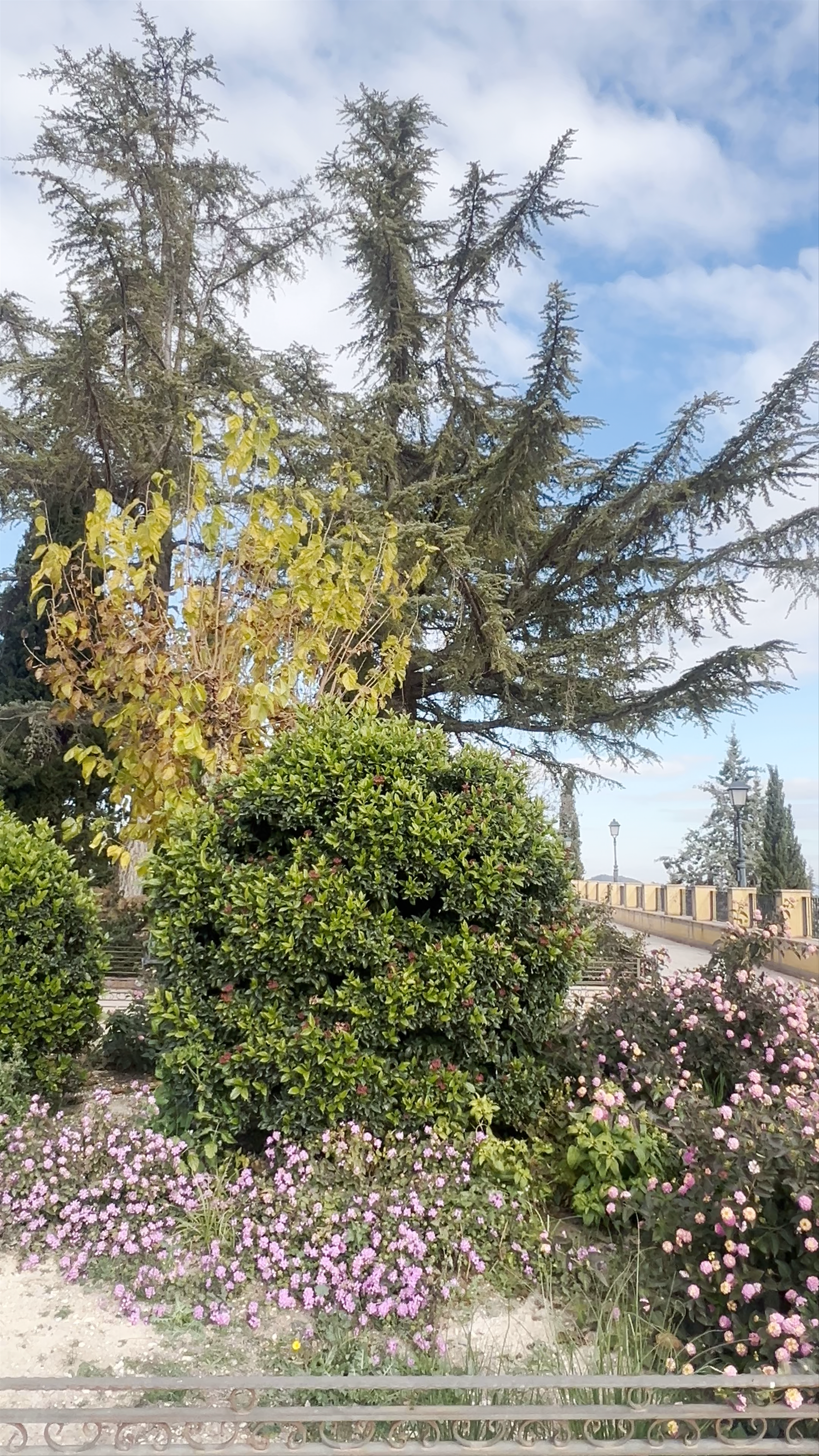 Mirador De la Inmaculada Concepción