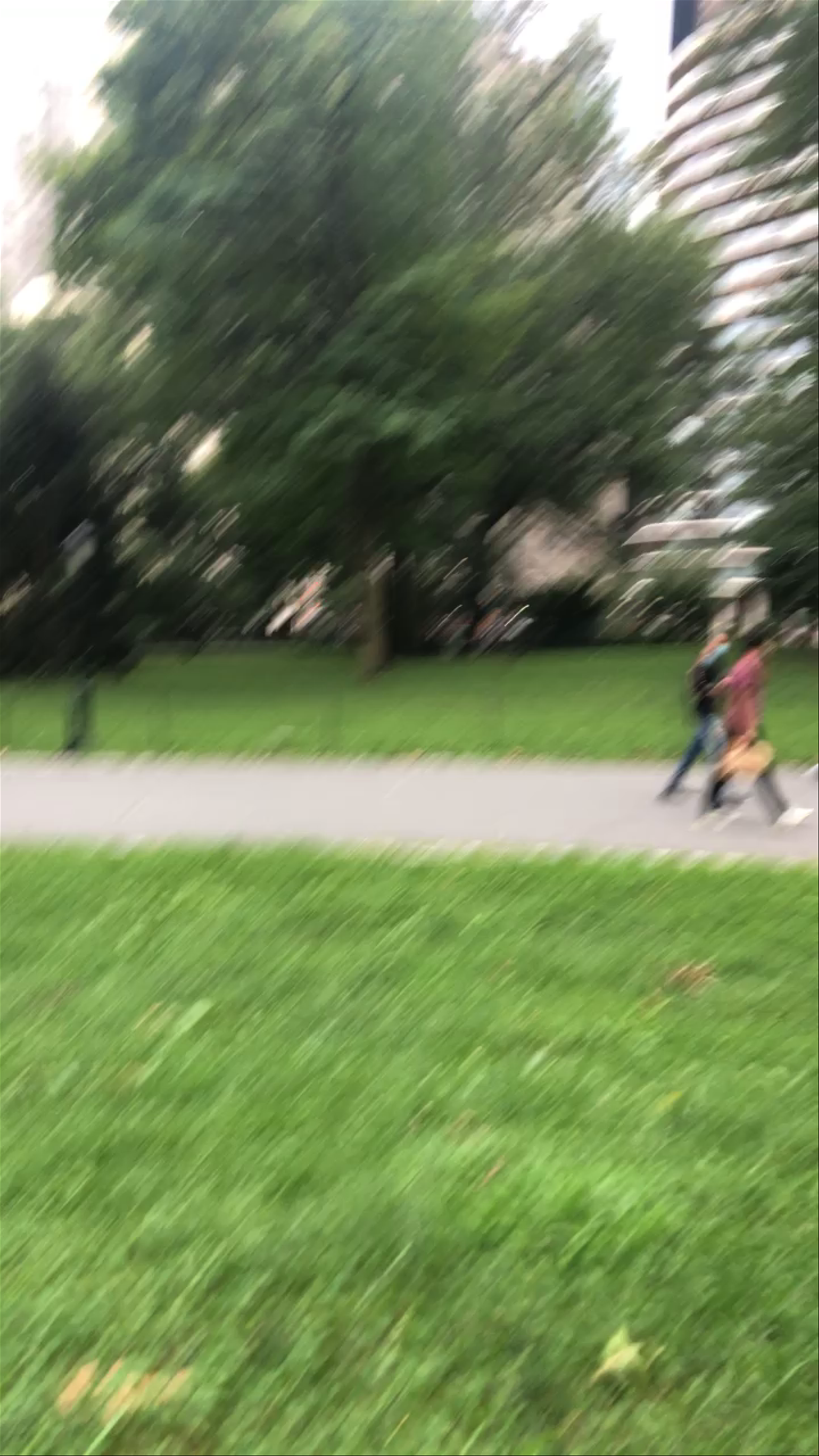 Central Park