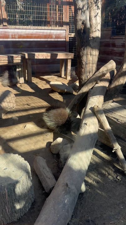 Wildlife Learning Center - Zoos Near Me - Sylmar, California