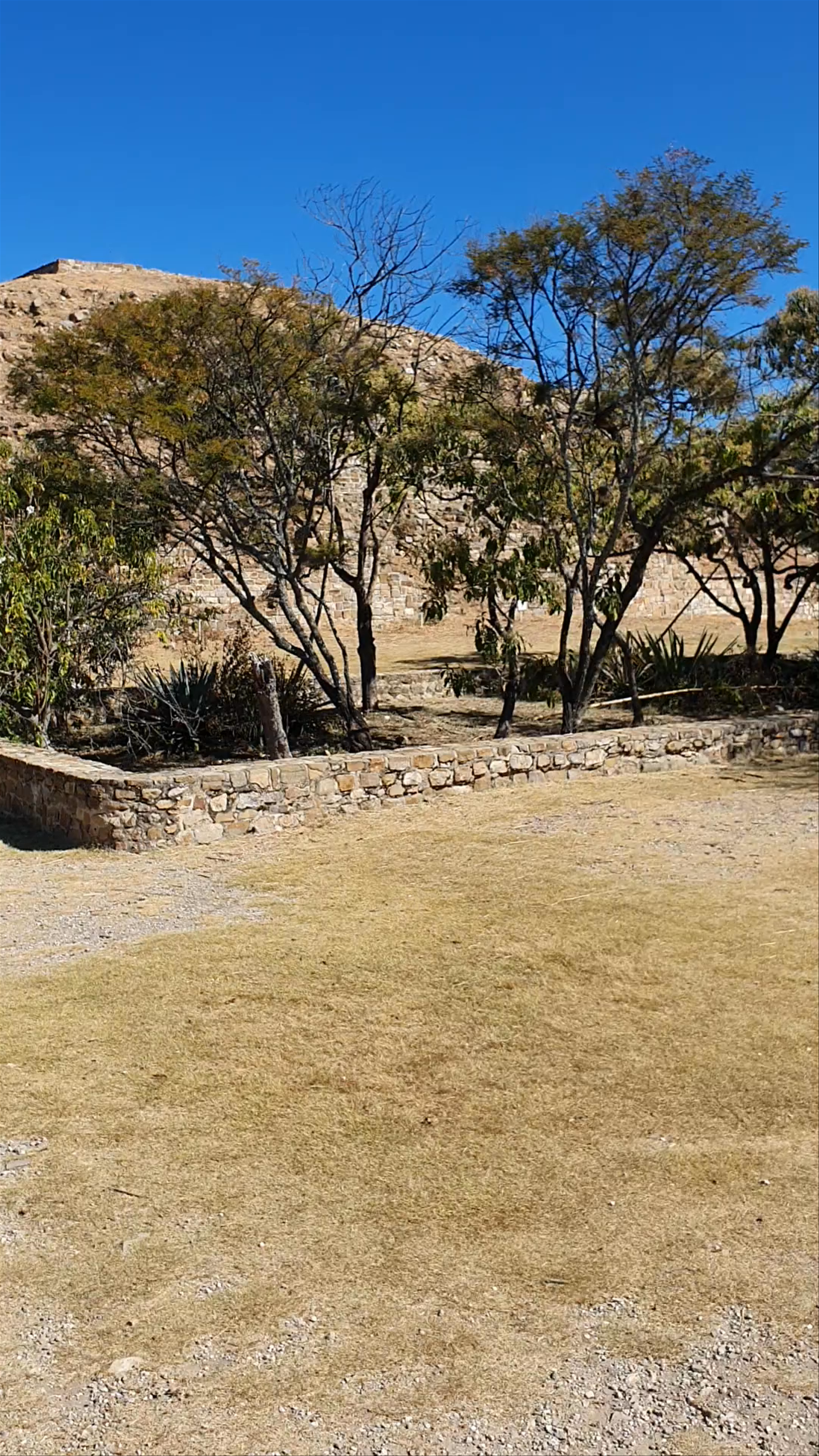 Monte Albán
