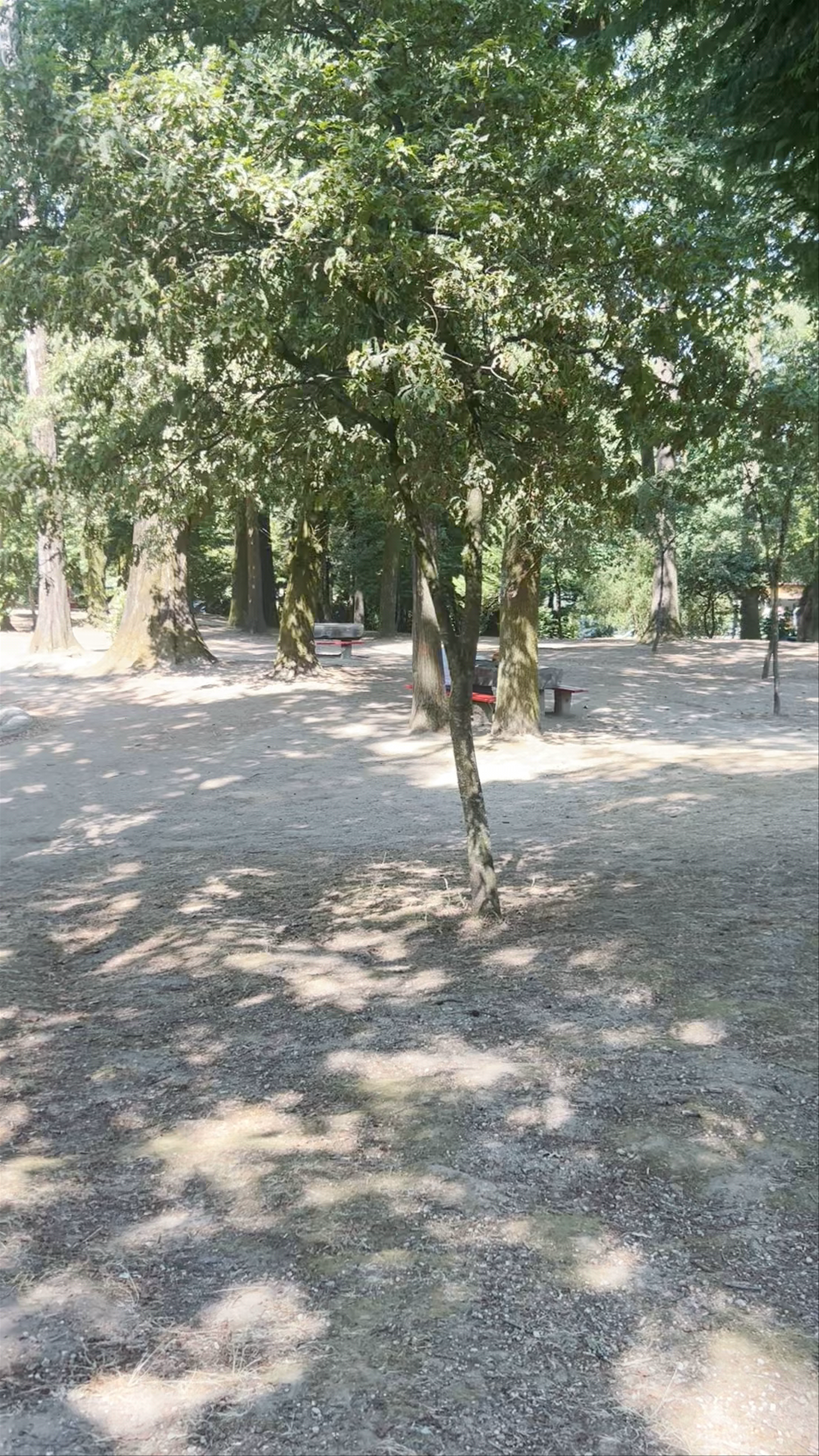 Parque Infantil do Bom Jesus