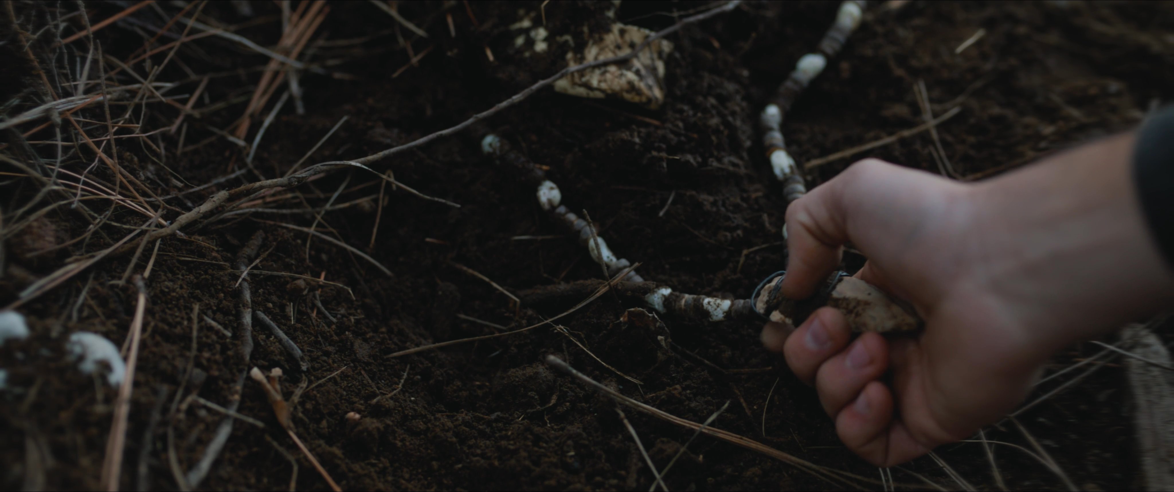 Two men investigate a discovery in a forest environment, focusing on an object retrieved from the soil. The scene highlights a professional assessment of a potentially significant artifact.
