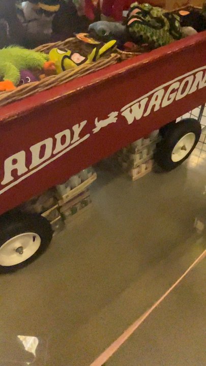Paddywack - Pet Stores Near Me - Mill Creek, Washington