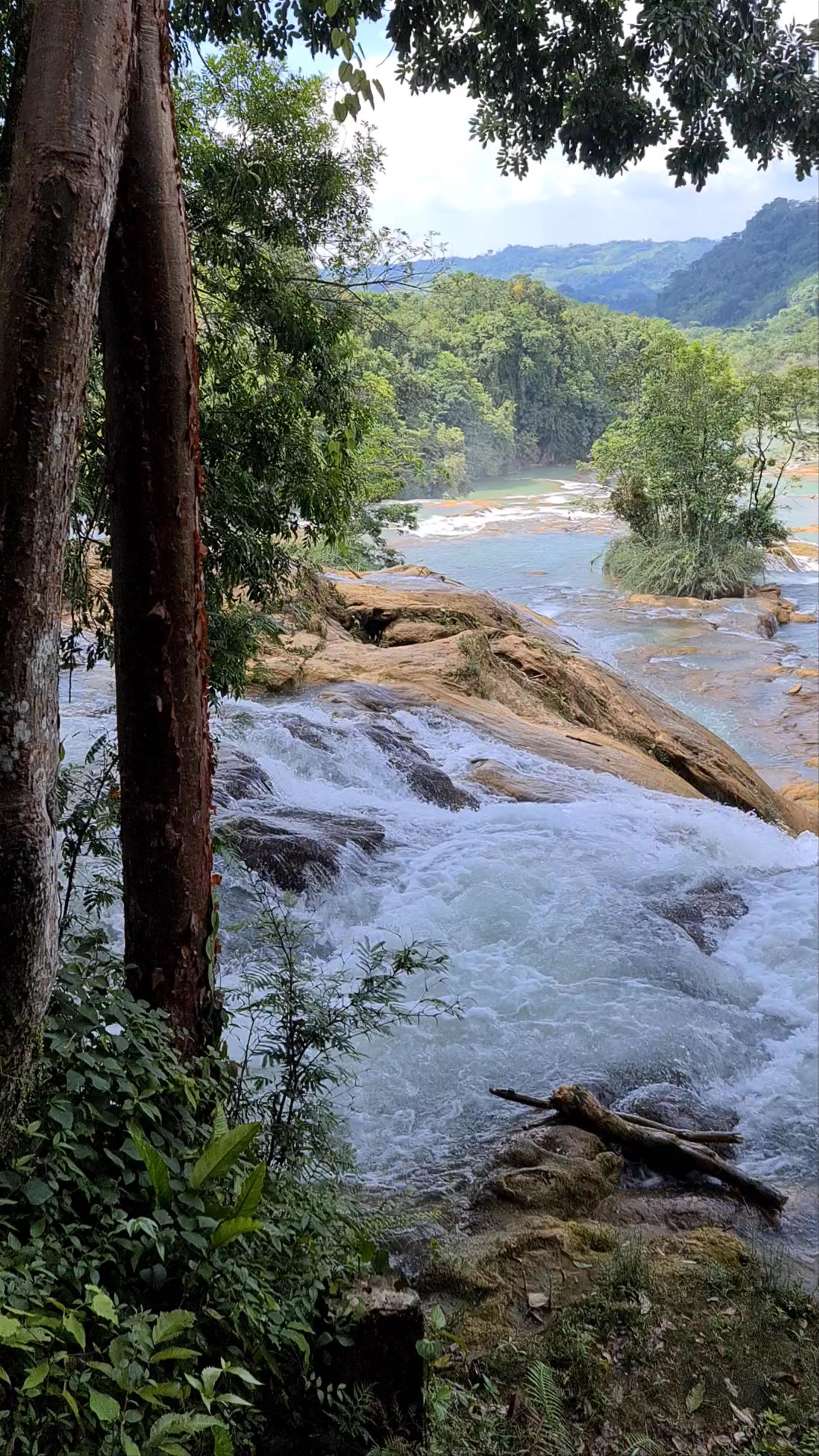 Cascadas de Agua Azul