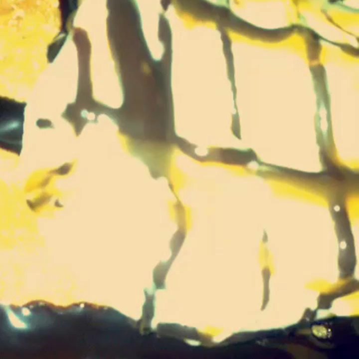 Buffalo Wild Wings - Yummy goodness! Dessert nachos. With my girl Santogold playing in the background :) - Sports Bars Near Me - Blaine, Minnesota
