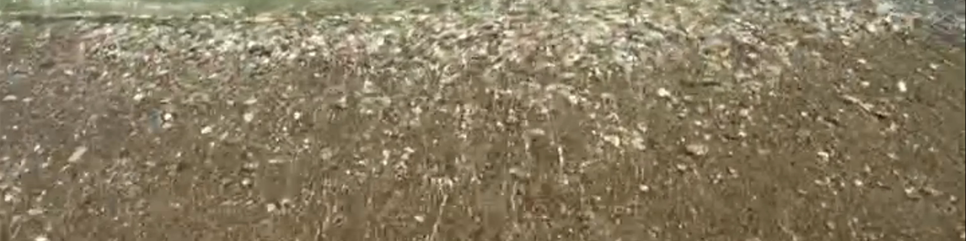 Platis Gialos