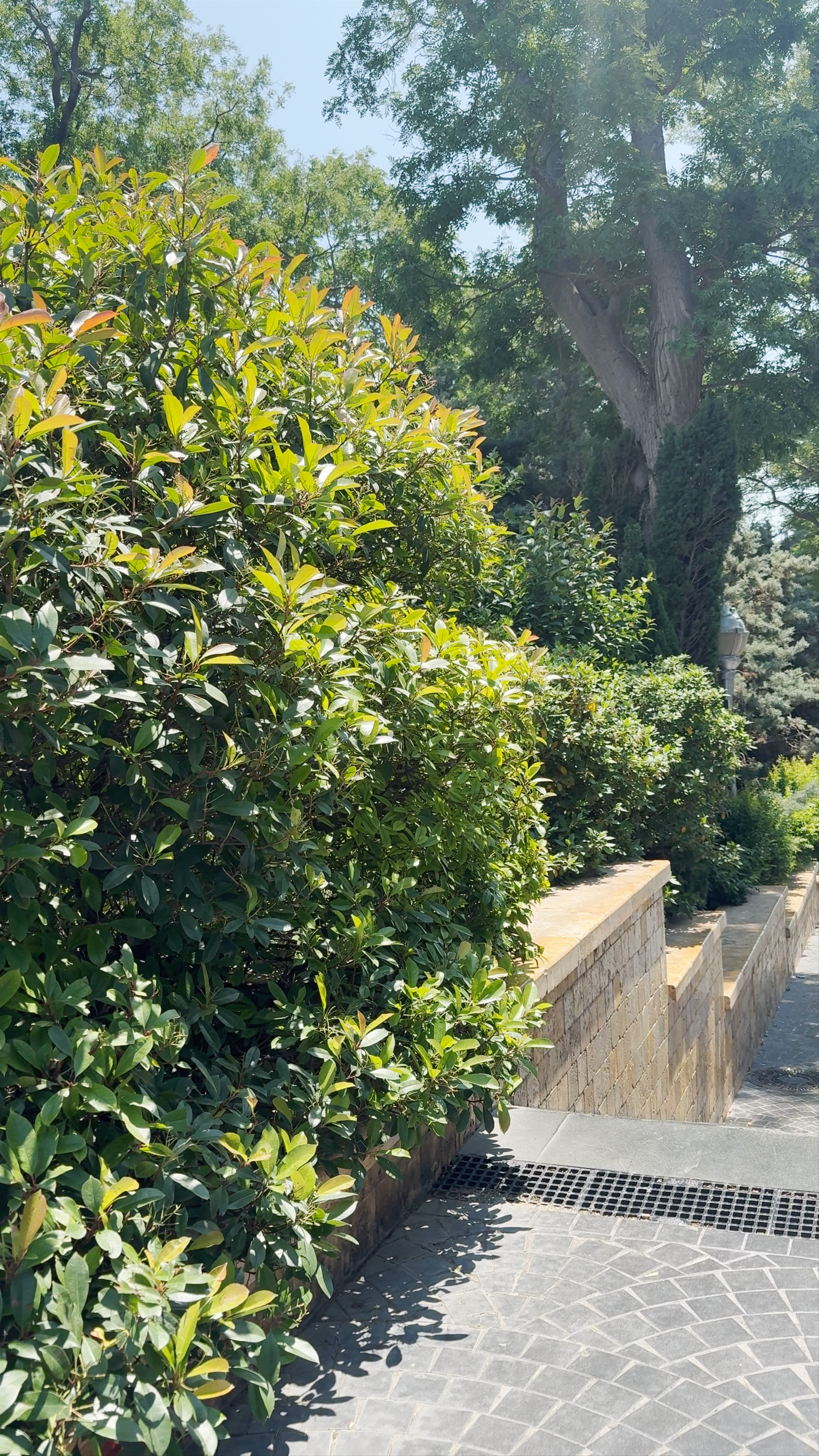 Müslüm Maqomayev Adına Azərbaycan Dövlət Filarmoniyası