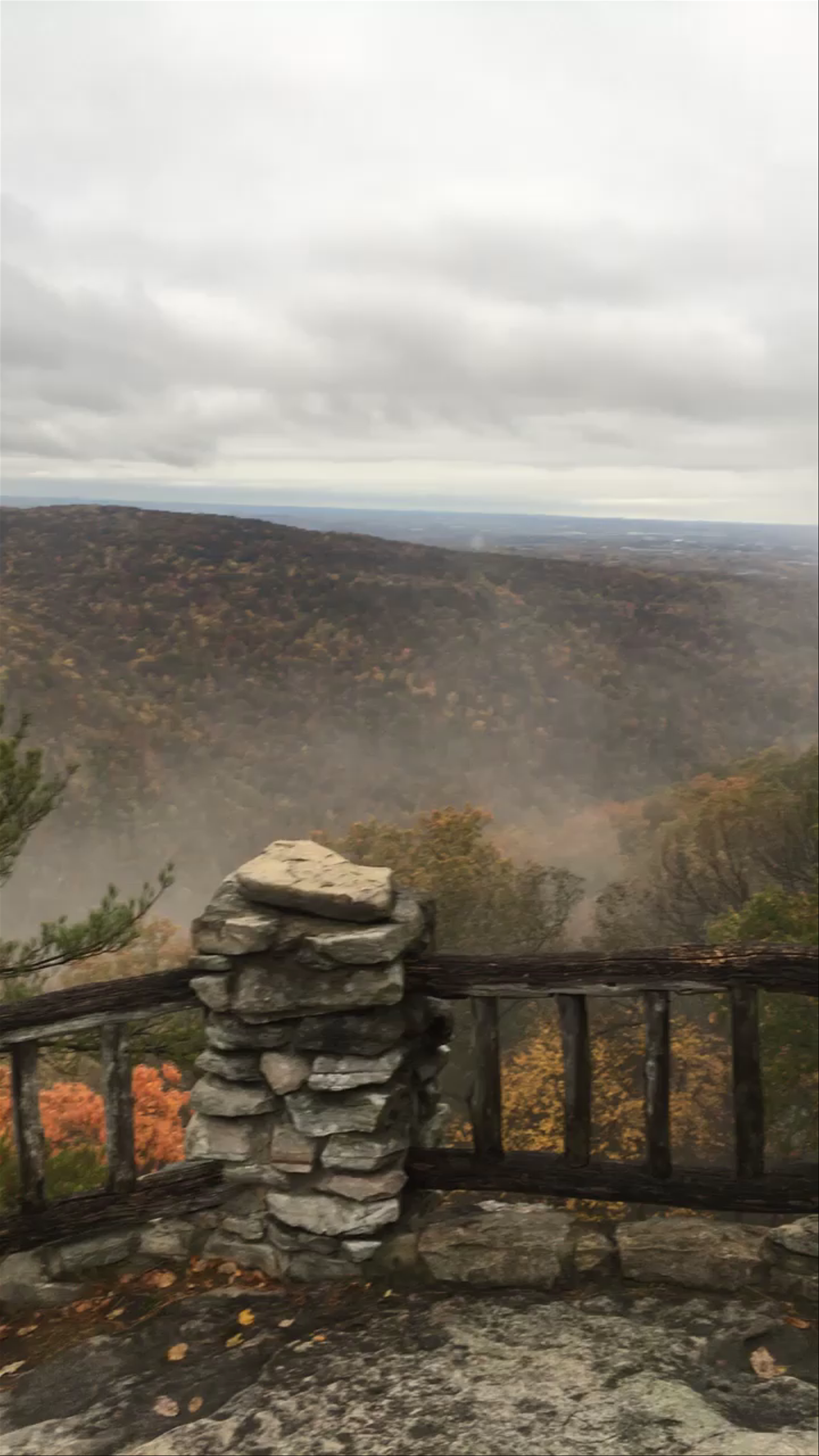 Coopers Rock State Forest