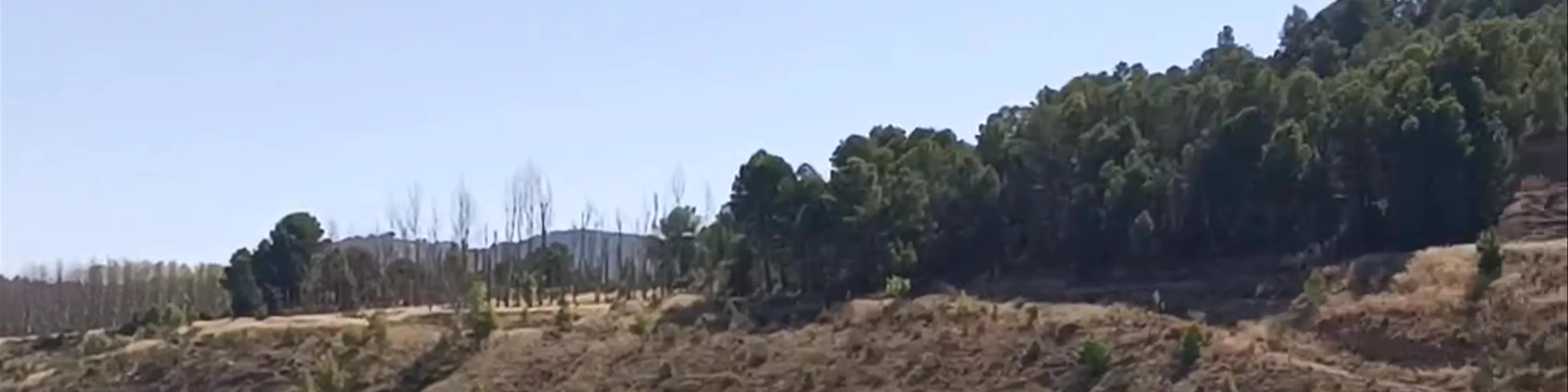 Embalse La Fuensanta