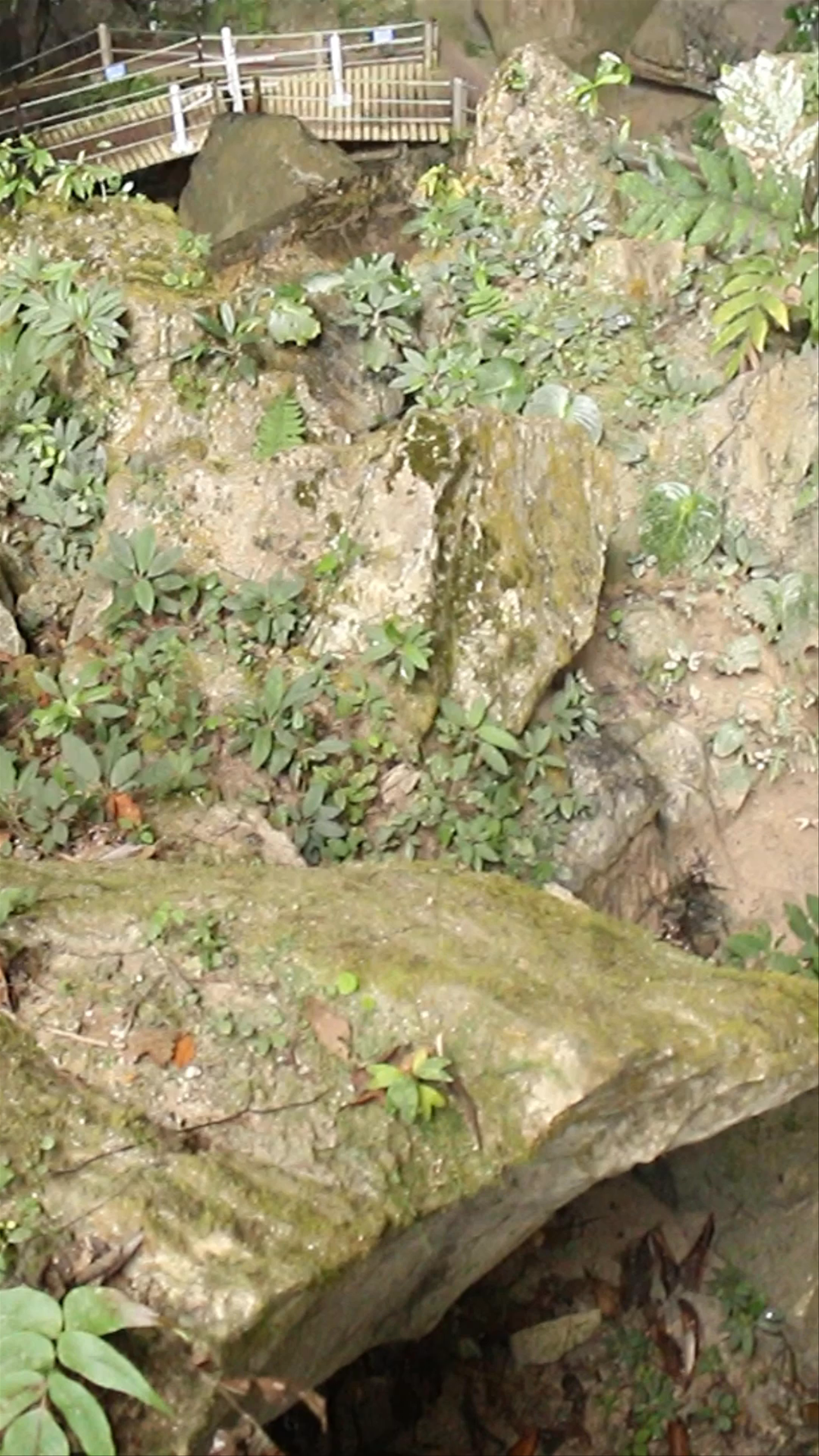 Clearwater Cave (Gua Air Jernih)