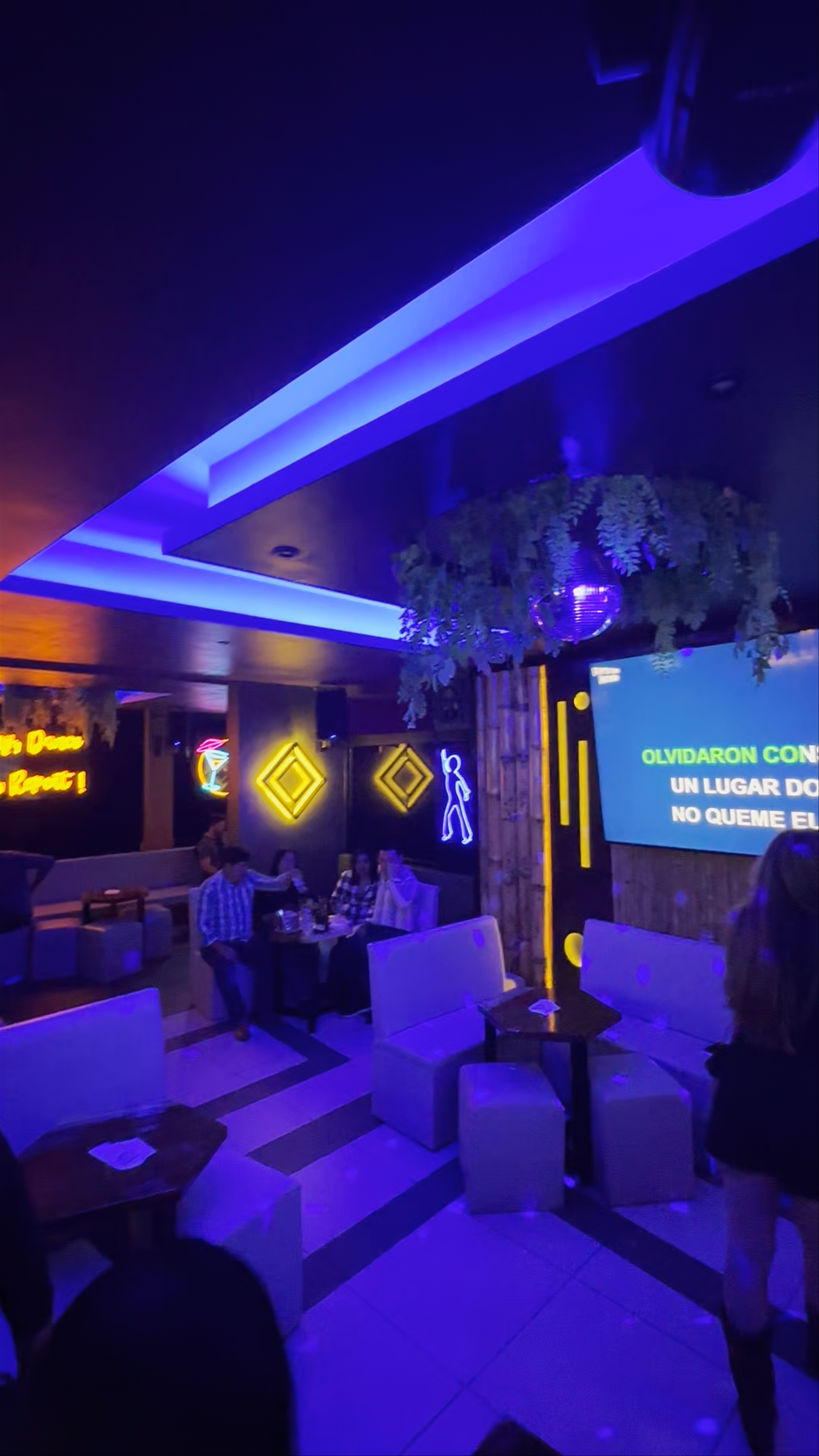 Bar Karaoke Palenque: Vibrant Nightlife in Chiapas