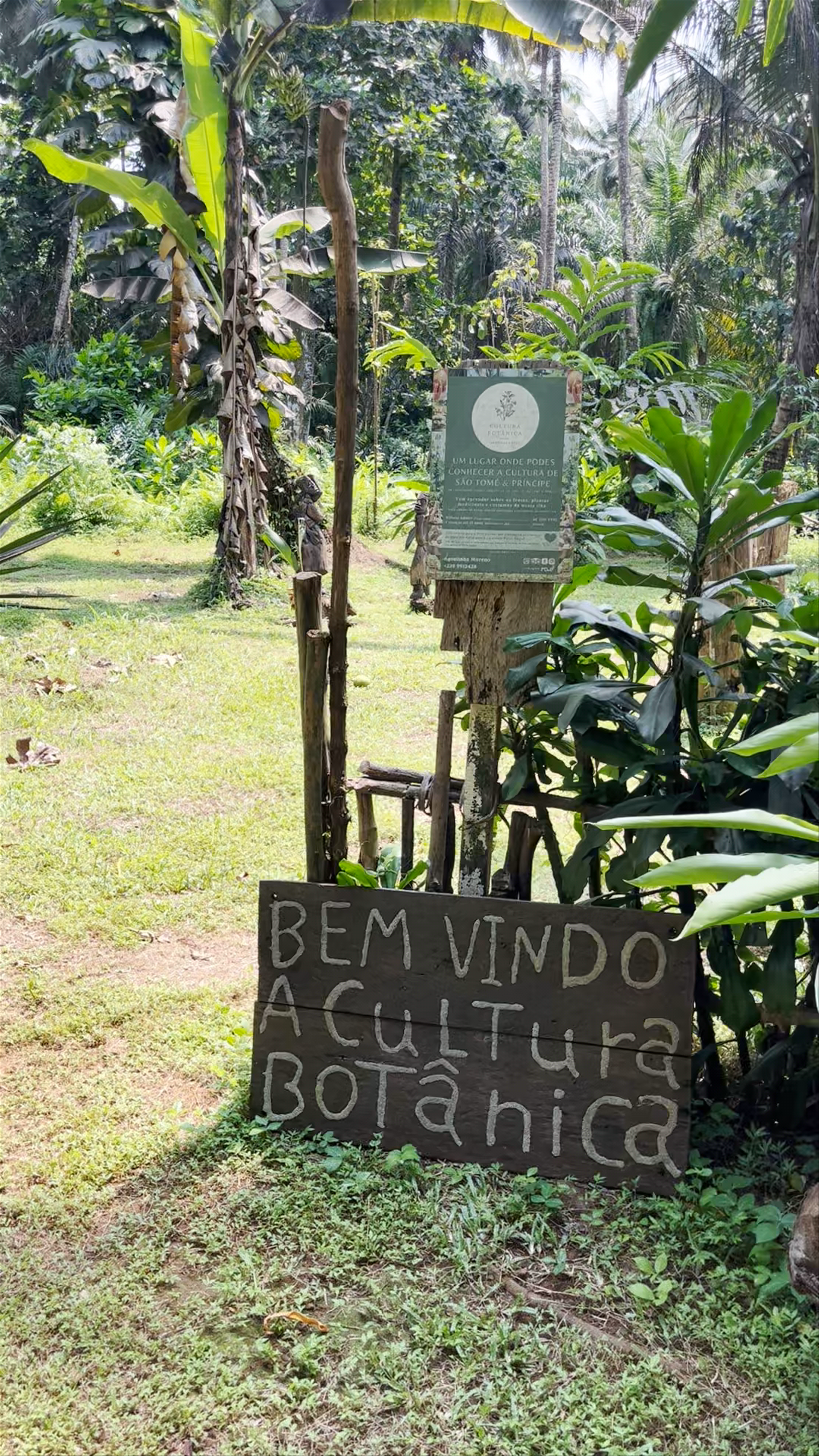 Cultura Botânica: Immersive Botanical Culture in Rolas, São Tomé and Príncipe