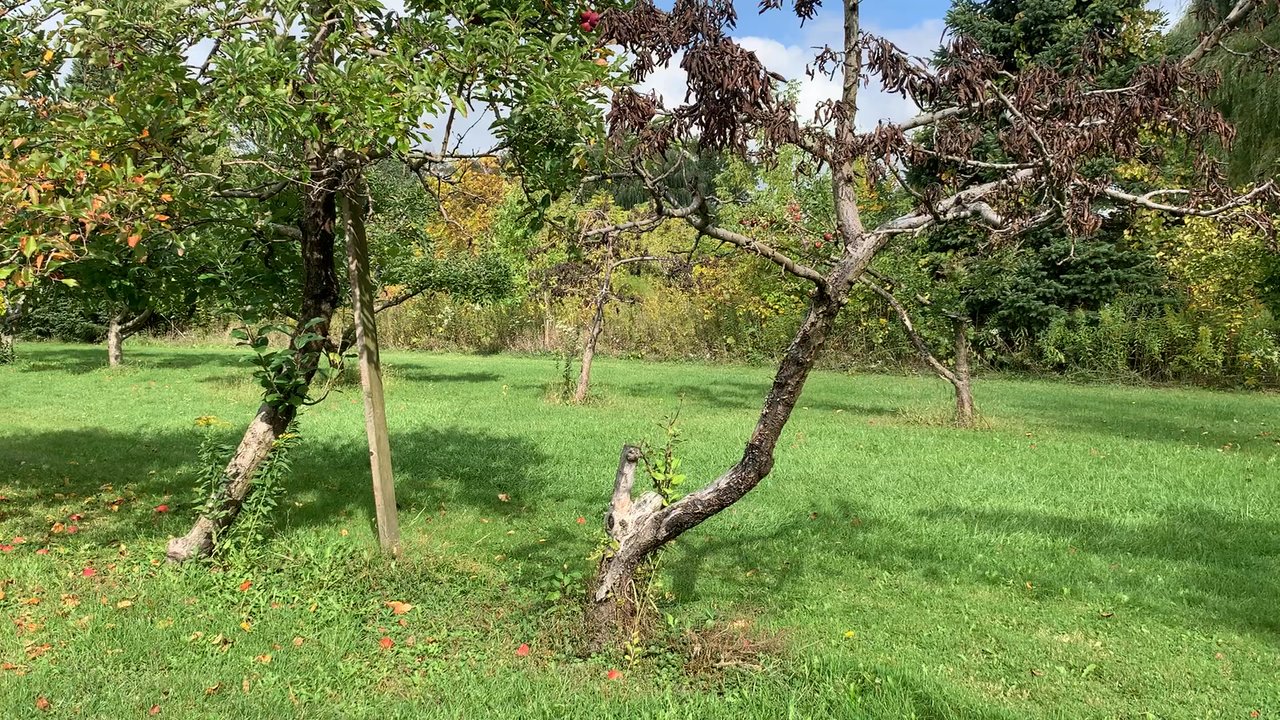 R&M Orchards - I highly recommend checking this place out! It is a hidden gem and the first time I ever visited this location. I'm glad I did! - Fruits & Veggies Near Me - Kenosha, Wisconsin