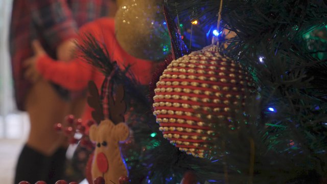 Ornaments on a Christmas tree 